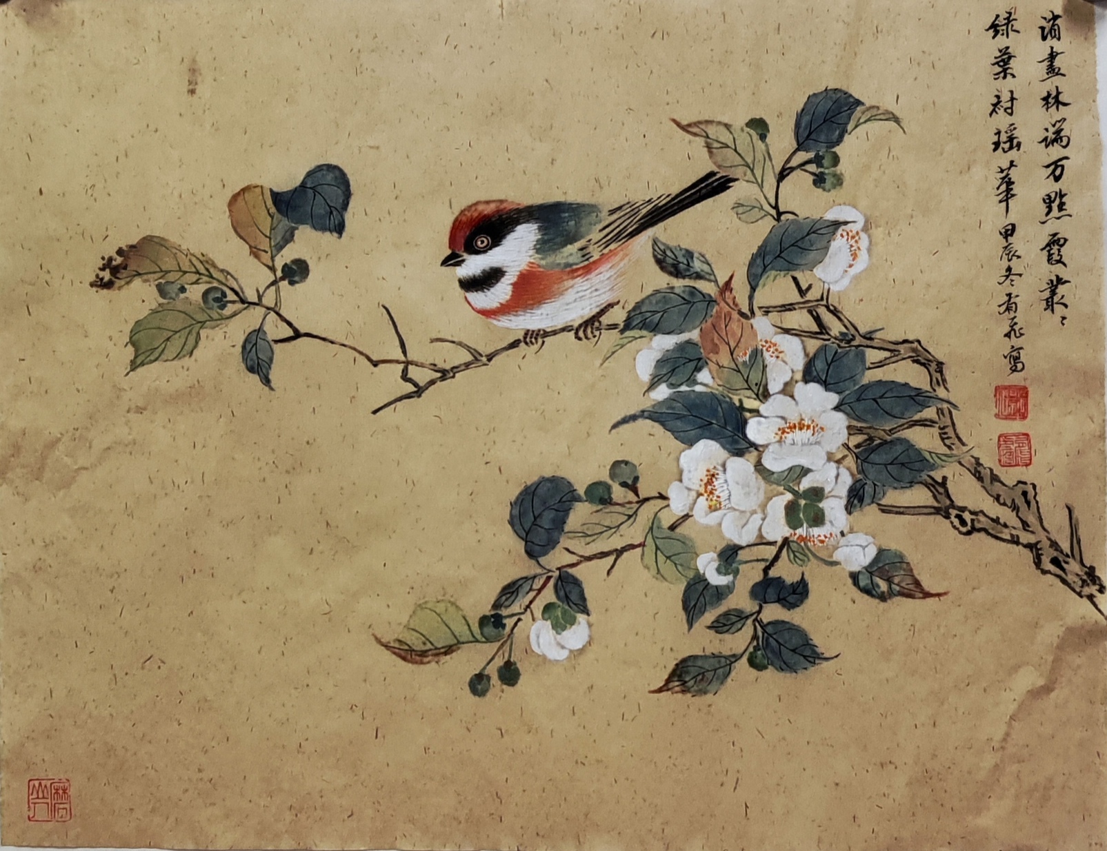 画家催婚鸟工笔画莋山玉子工笔画赵业建花鸟画红靛颏水墨何凌虹工笔