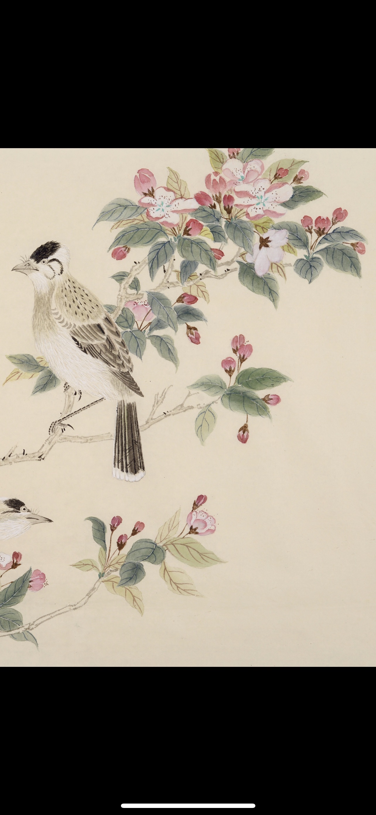 《海棠山雀》郭有飞国画