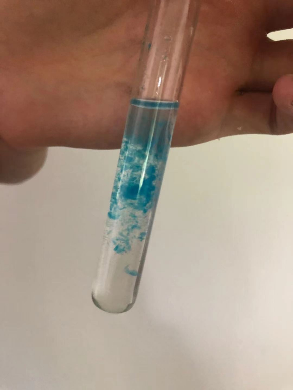 【蛋白质!】双缩脲反应检验蛋白质