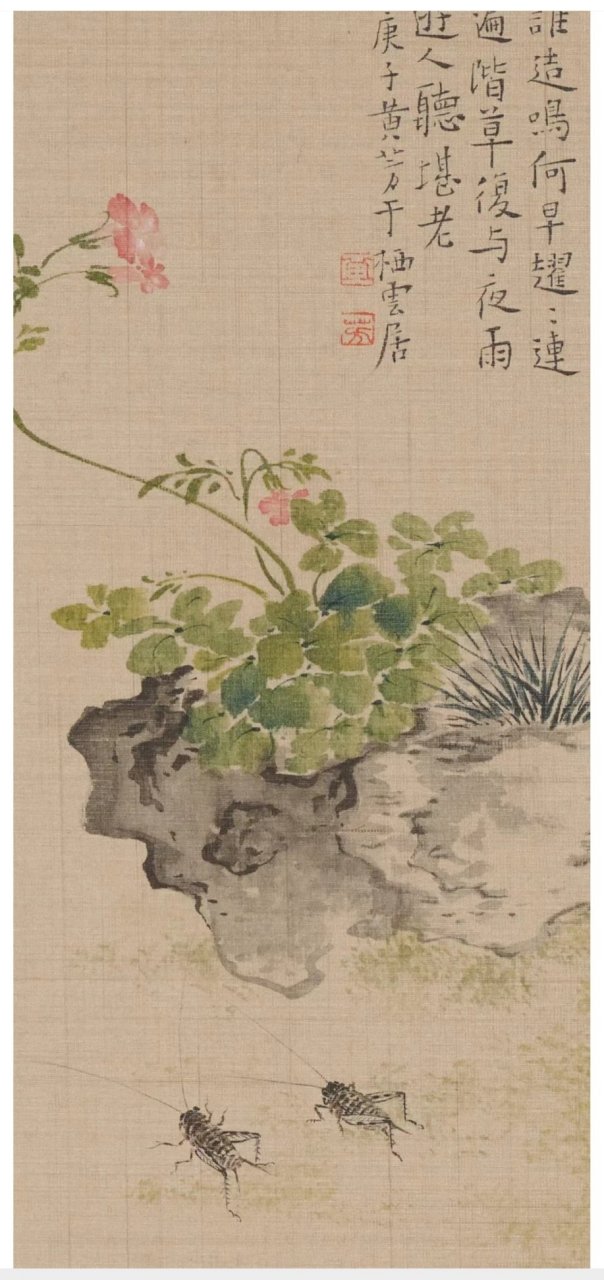 百度绘画# "黄芳工笔没骨花鸟画艺术及作品欣赏"黄芳毕业于中国美术