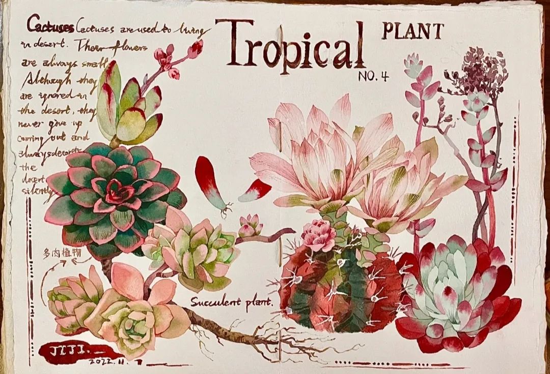 植物图鉴  阿尼哈塞哟