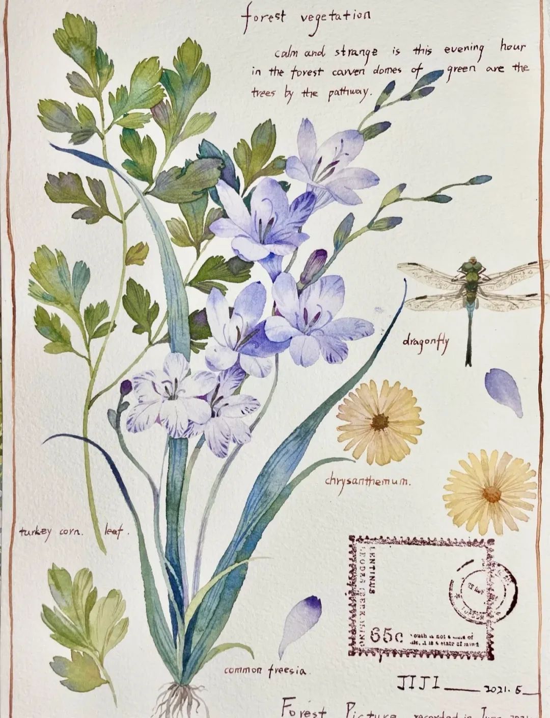 植物图鉴  阿尼哈塞哟