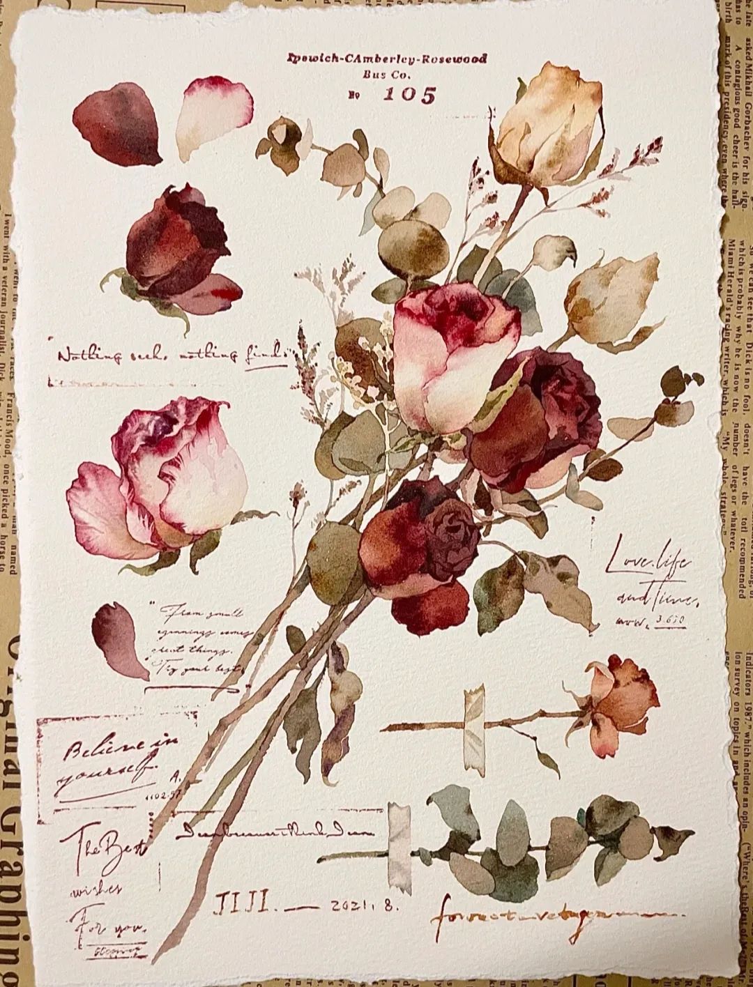 植物图鉴  阿尼哈塞哟