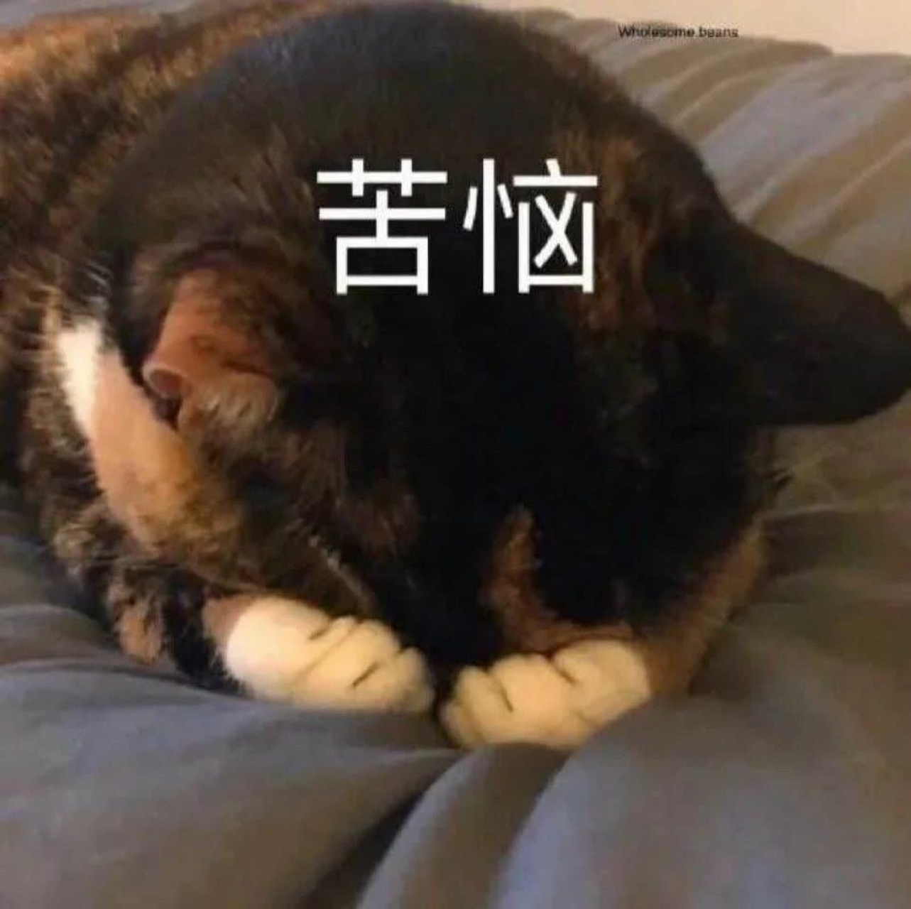 昨天找一大师摸骨算命,摸了半天,表情越来越严肃, 我小心翼翼地问:"算