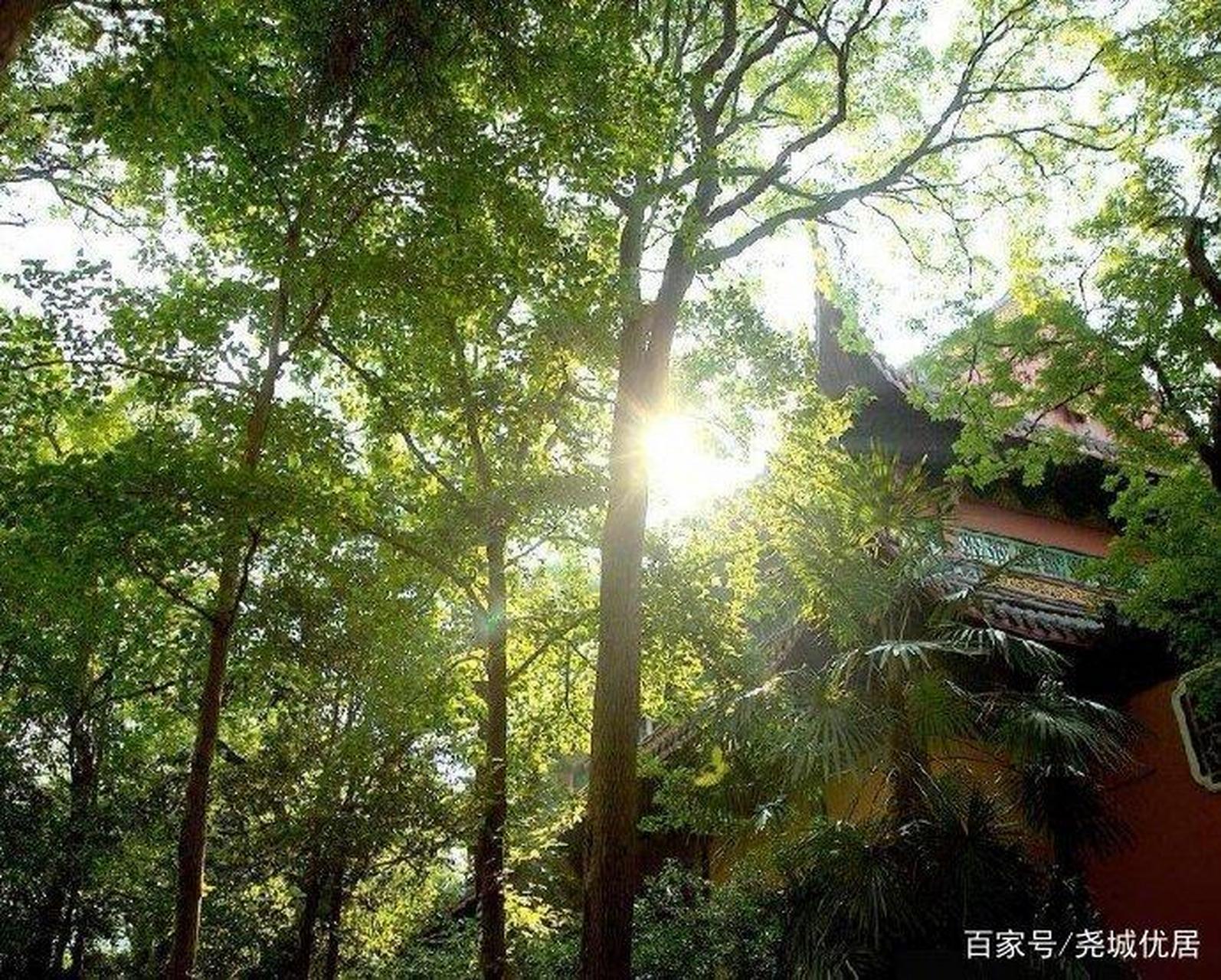 杭州 清晨入古寺,初日照高林 曲径通幽处,禅房花木深 山光悦鸟性,潭