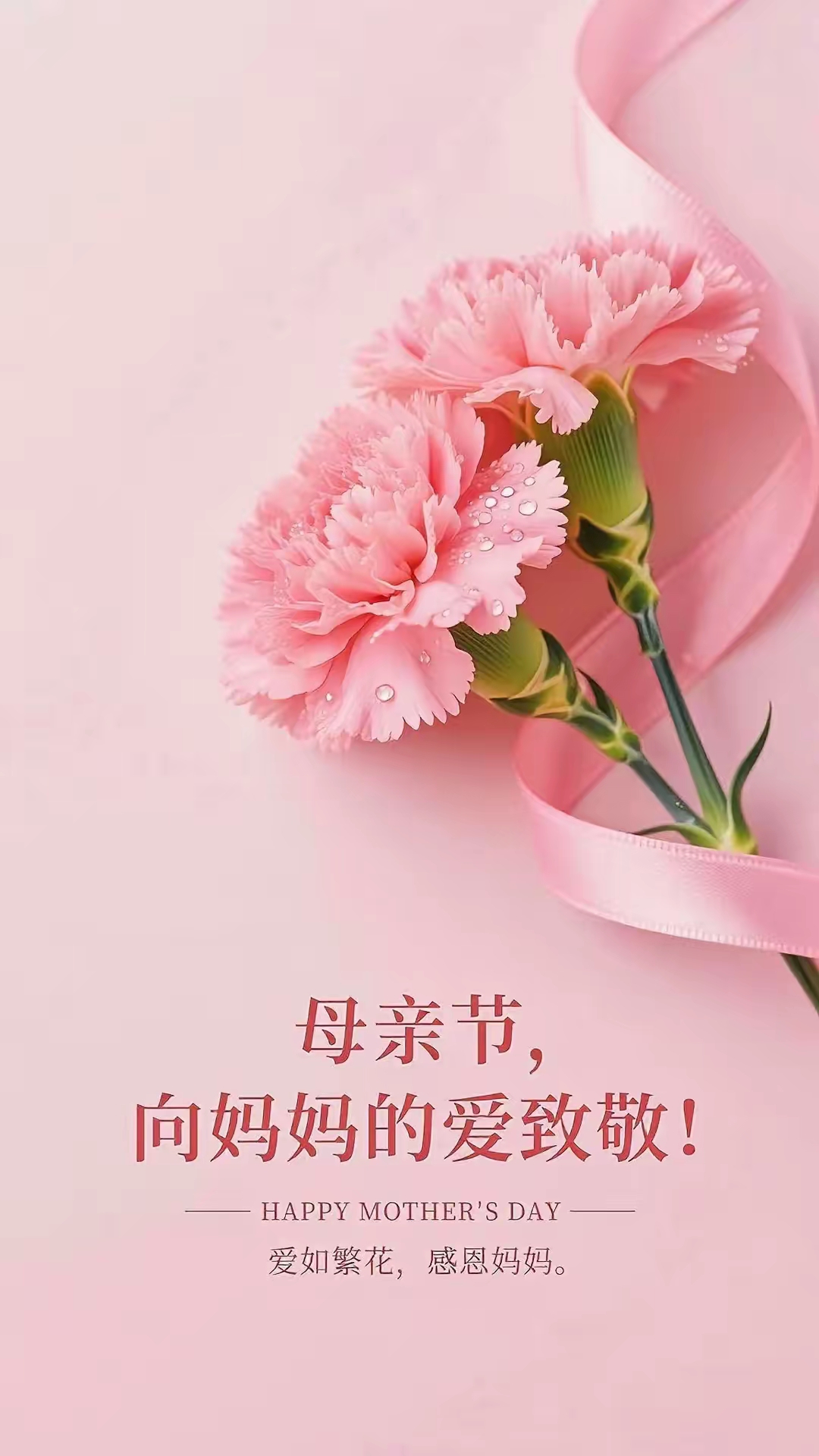 母亲节:深情寄母爱,暖心告白美到极致