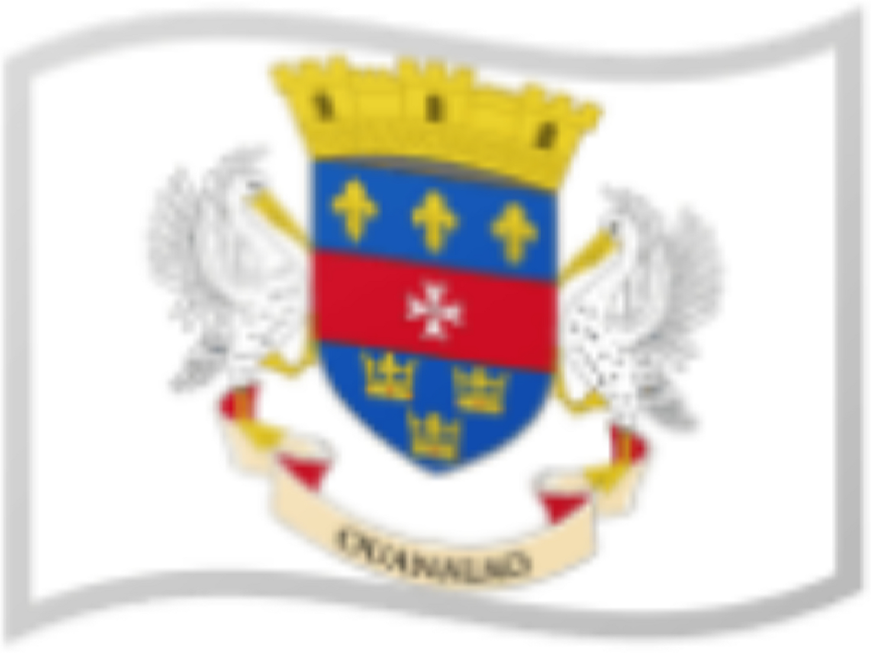 马约特国旗圣 巴泰勒米岛国旗