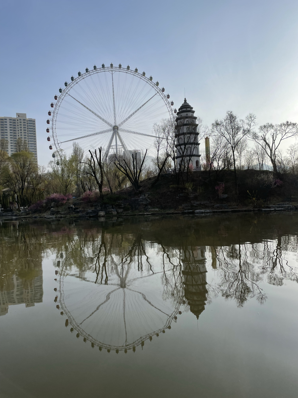 美丽的家乡. 西宁人民公园人工湖掠影             2023年4月15日晨