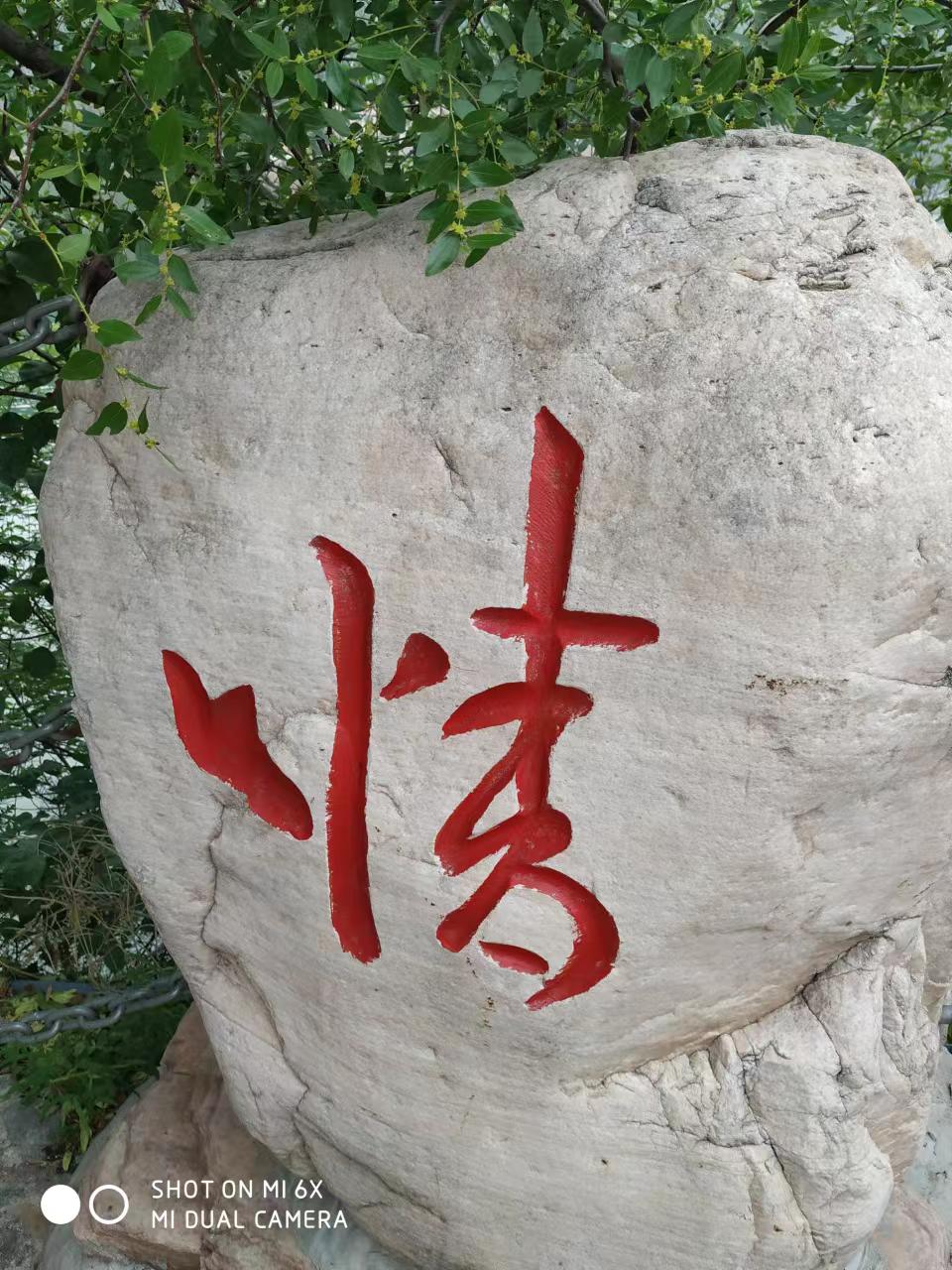 情字的书法写法你喜欢哪种?