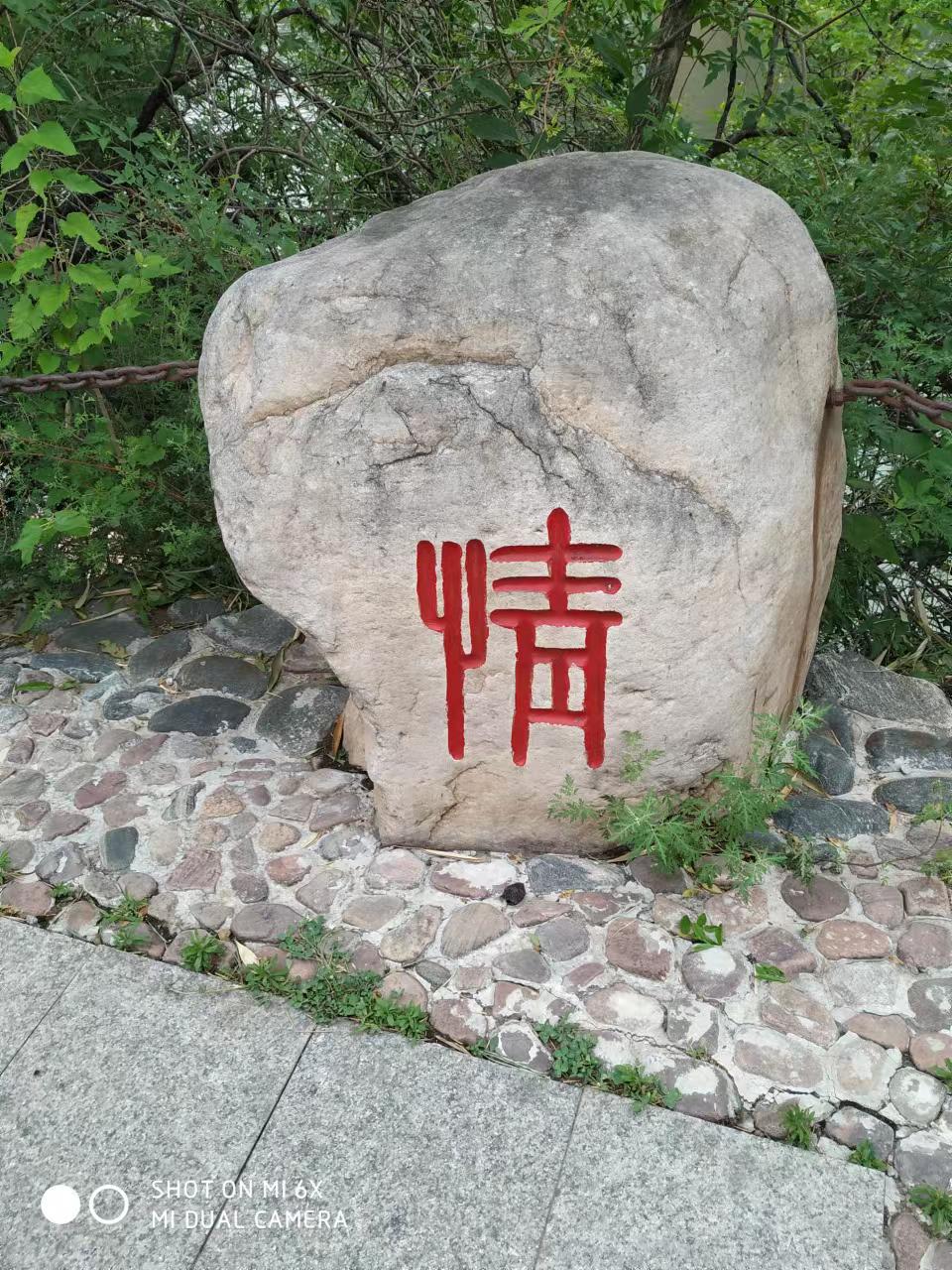 情字的书法写法你喜欢哪种?