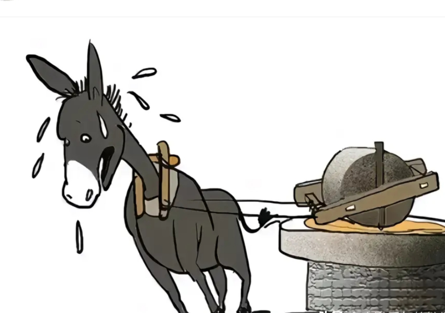 一头驴满身大汗吃力的拉着石磨.