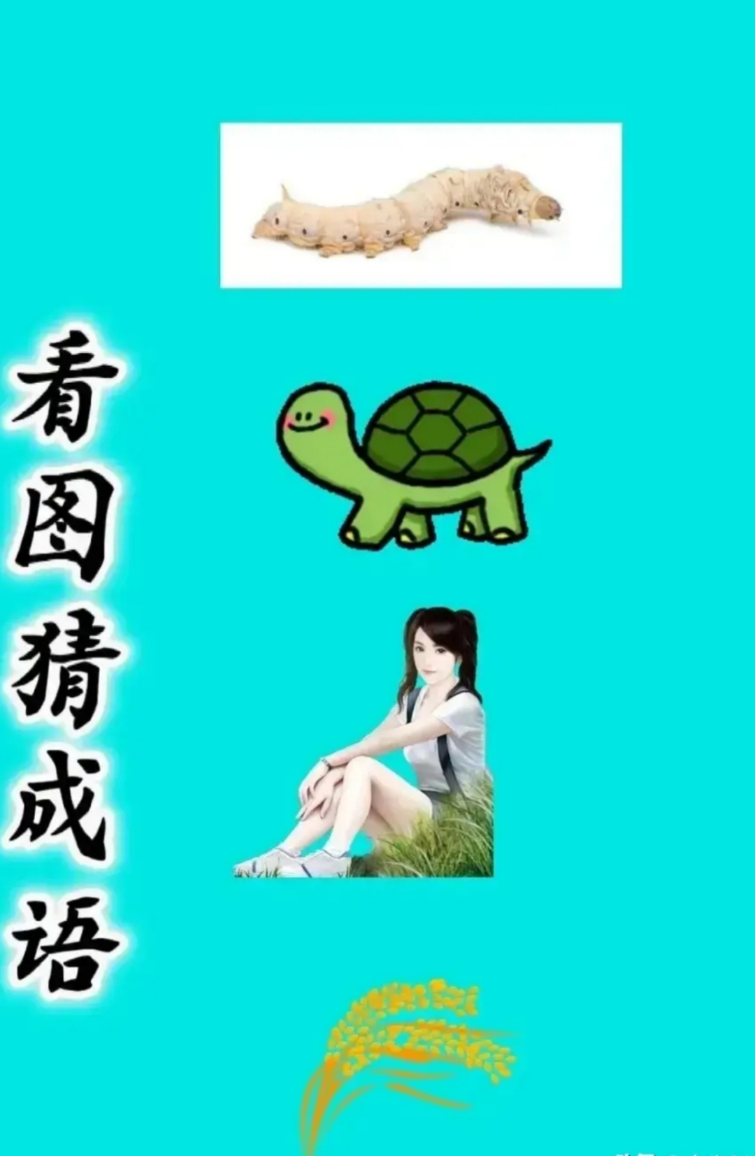 看图猜成语,图中有一只蚕,一只乌龟,一位窈窕淑女,一束稻穗🌾.