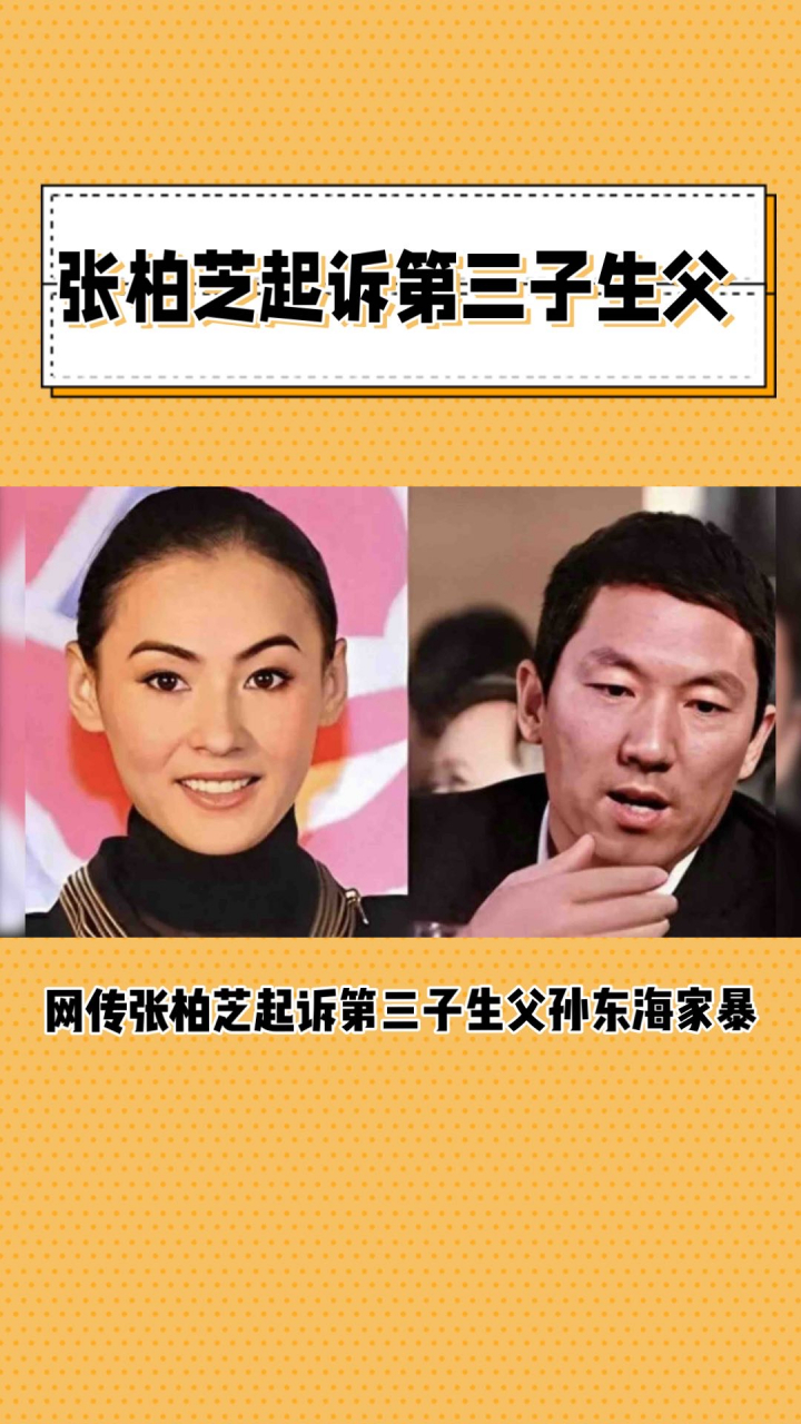 近期网传是富商孙东海,甚至说张柏芝还遭遇了家暴,还要跟张柏芝争夺
