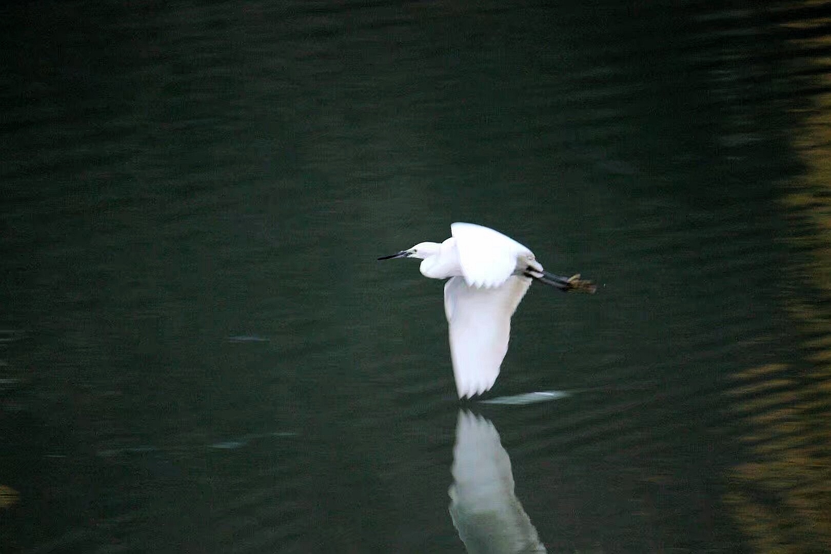 沧洲图片