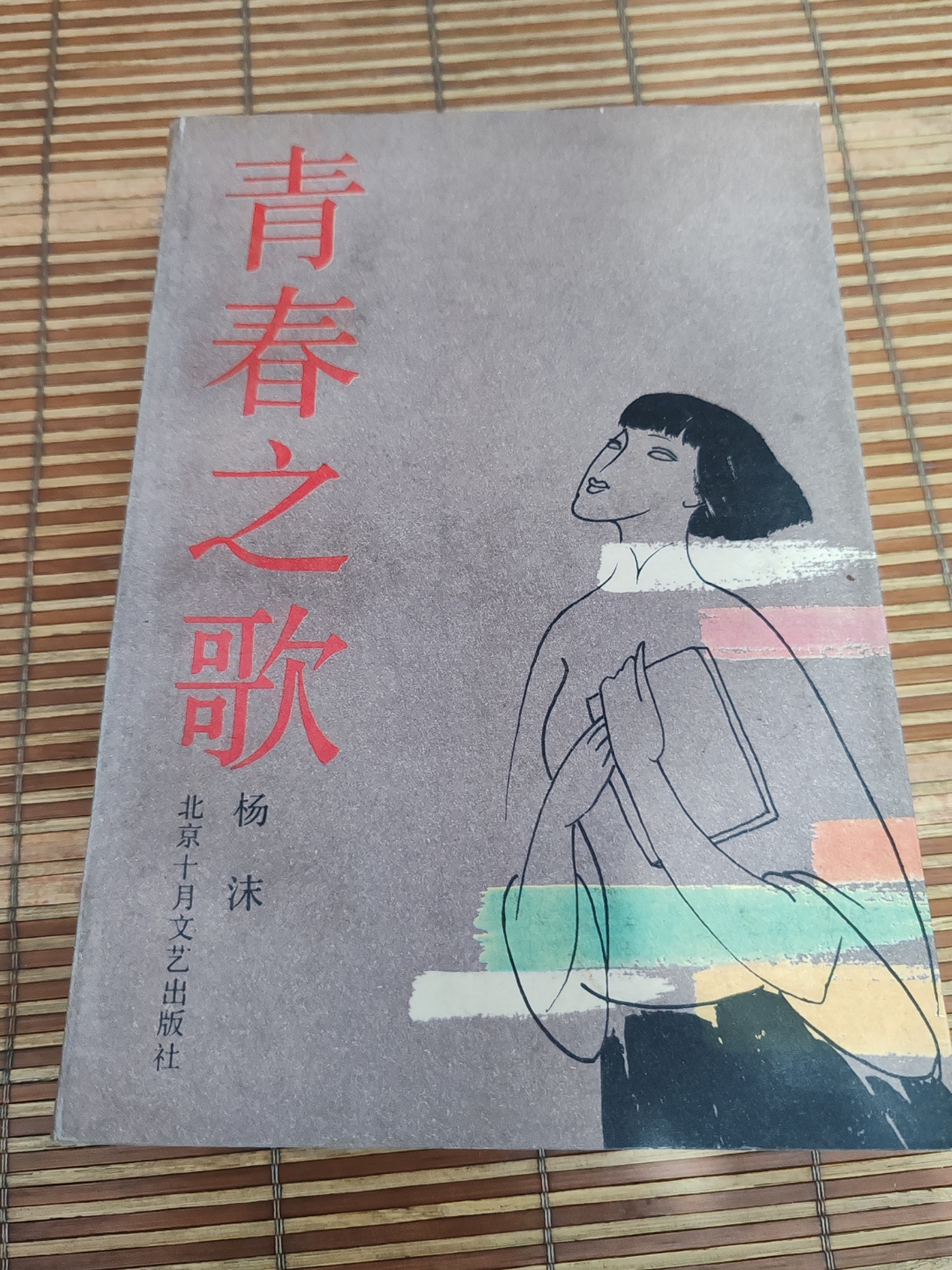 长篇小说青春之歌,女作家杨沫上世纪五十年代创作出版的小说,小说