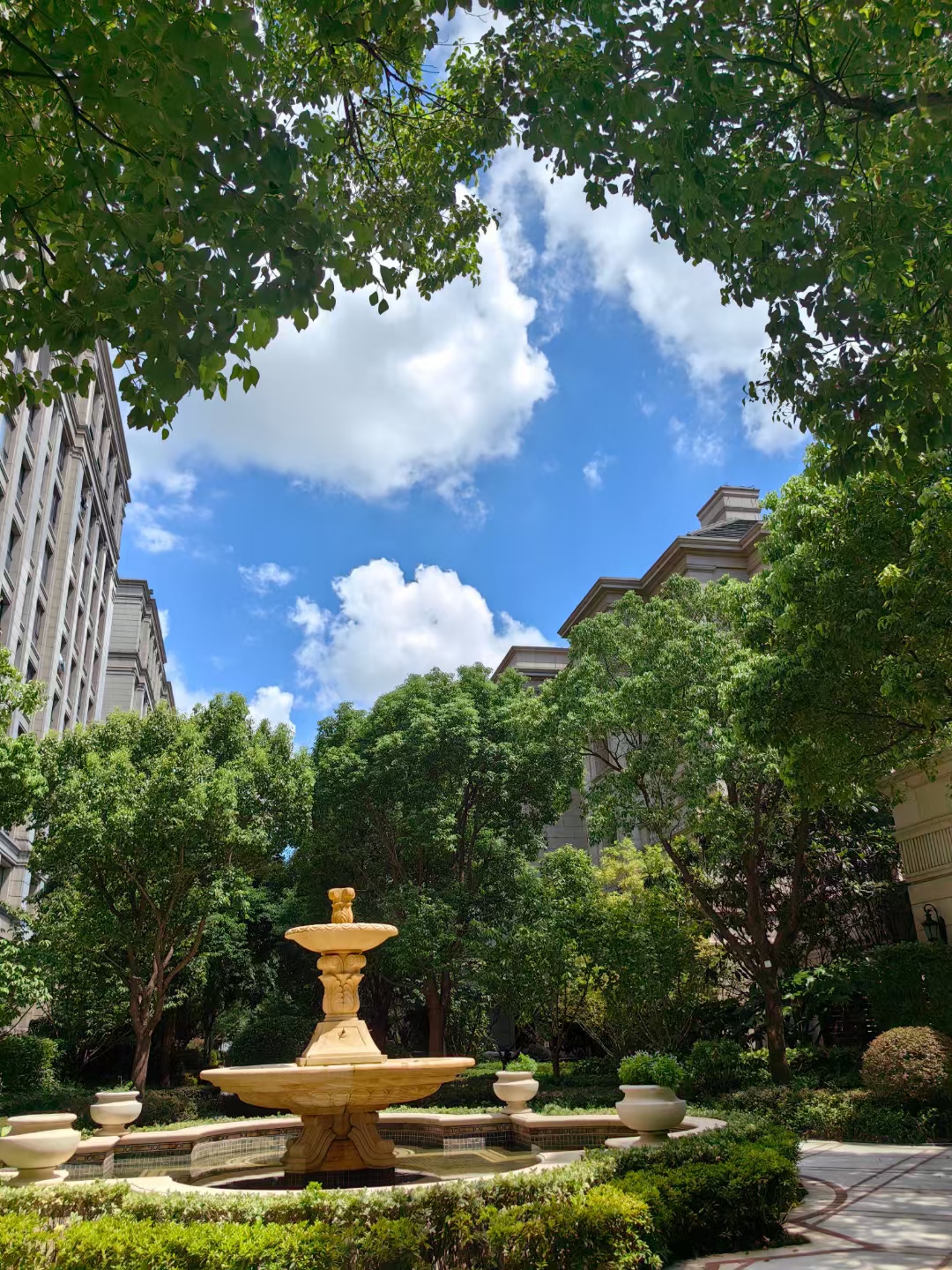 山河怅别消瑰易,天地怀归寄梦来. 是夜嘶风犹揽辔,斟时浊酒自衔杯