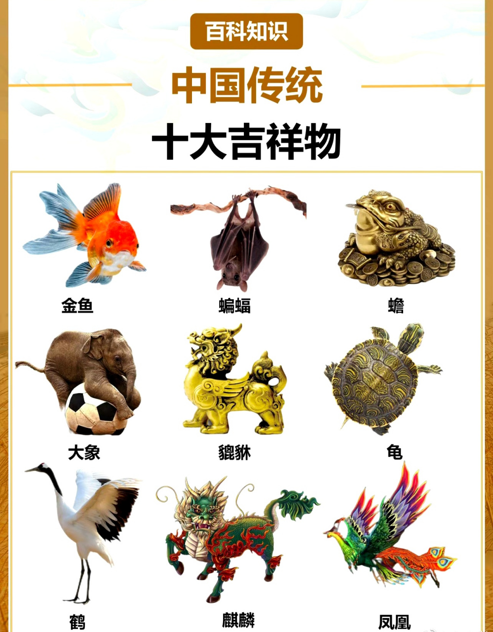 中国十大吉祥物图片图片