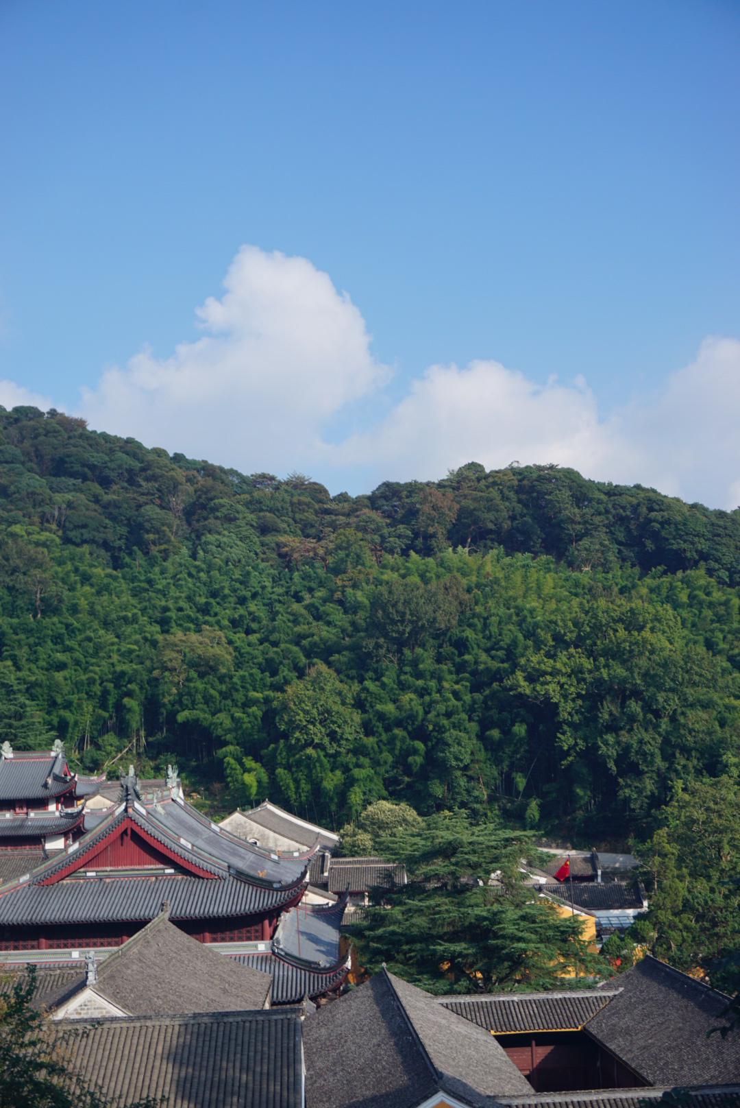 带不走四季的风 就带走一路的风景