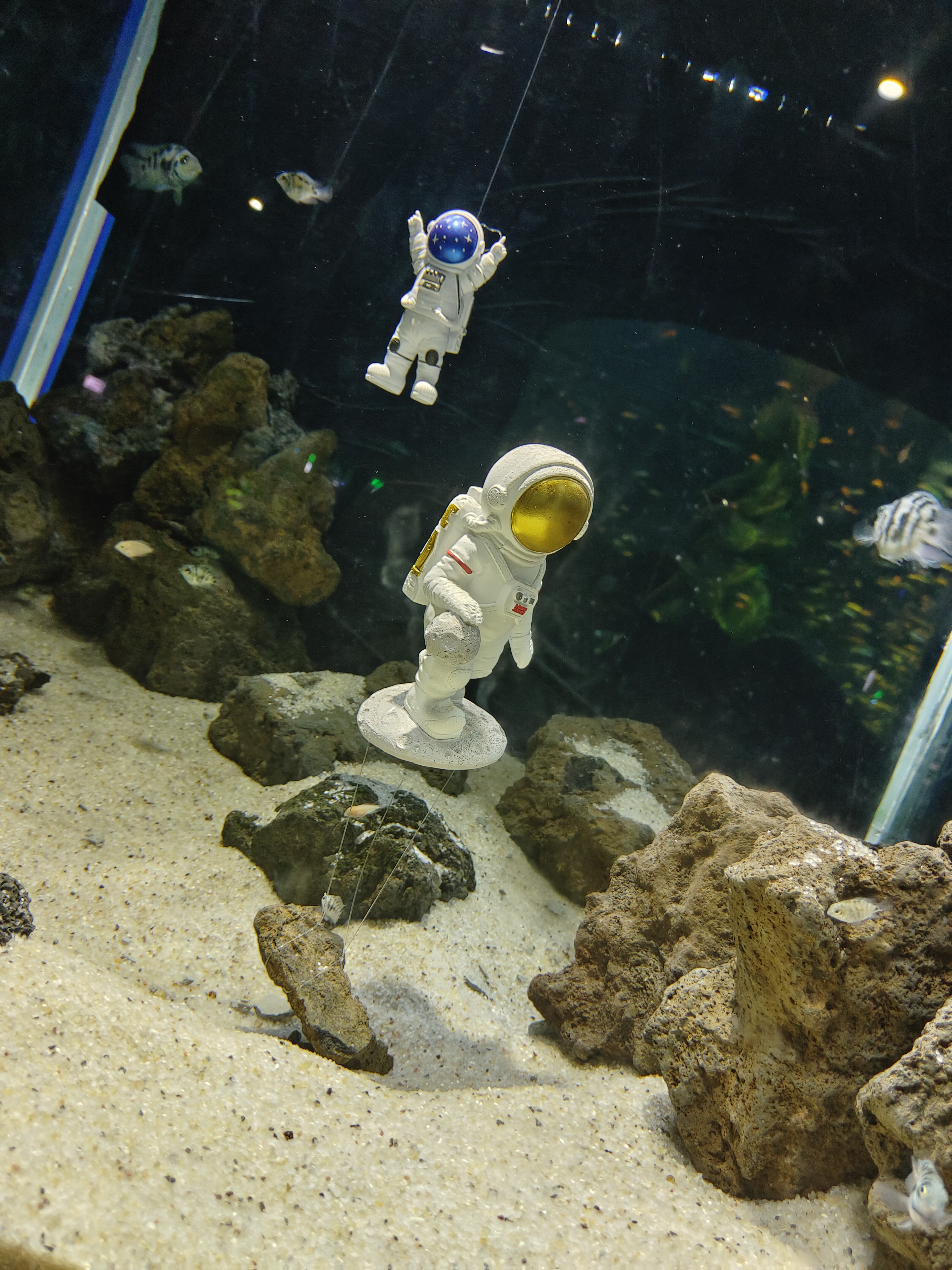 我原本可以 攀登那座山峰 但我停下了脚步 现