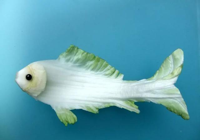 高手在民间#我要上热门# #逗你玩呢