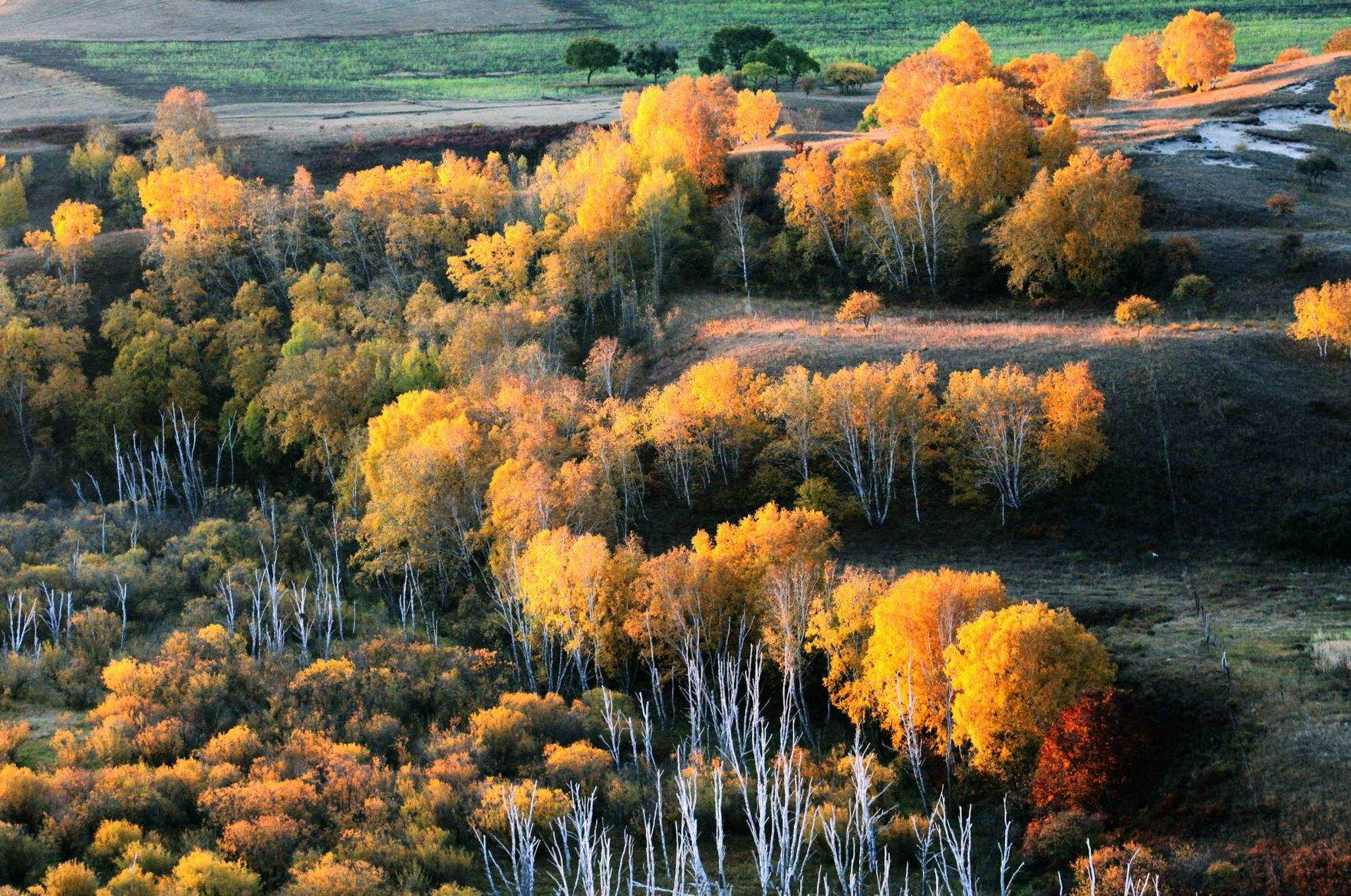 大兴安岭(一)#治愈系风景# #旅行# #大兴安岭