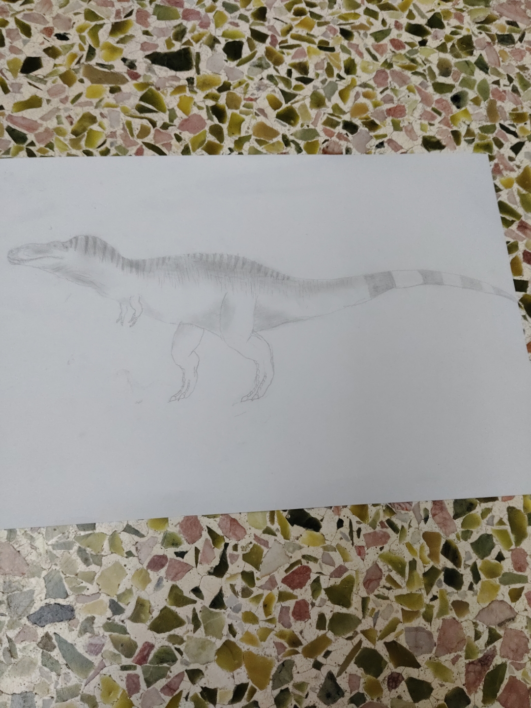 我认为的复原霸王龙