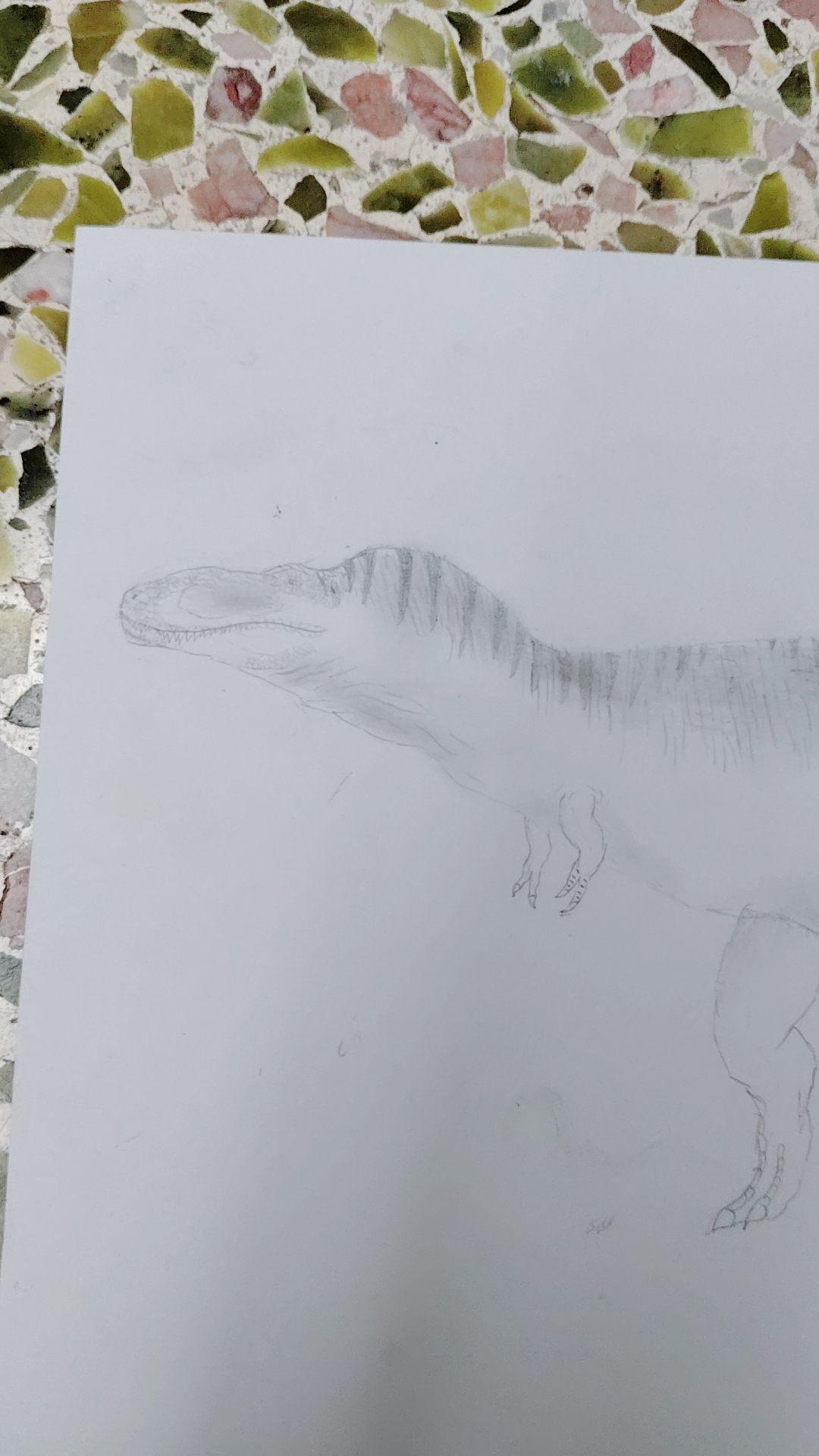 我认为的复原霸王龙