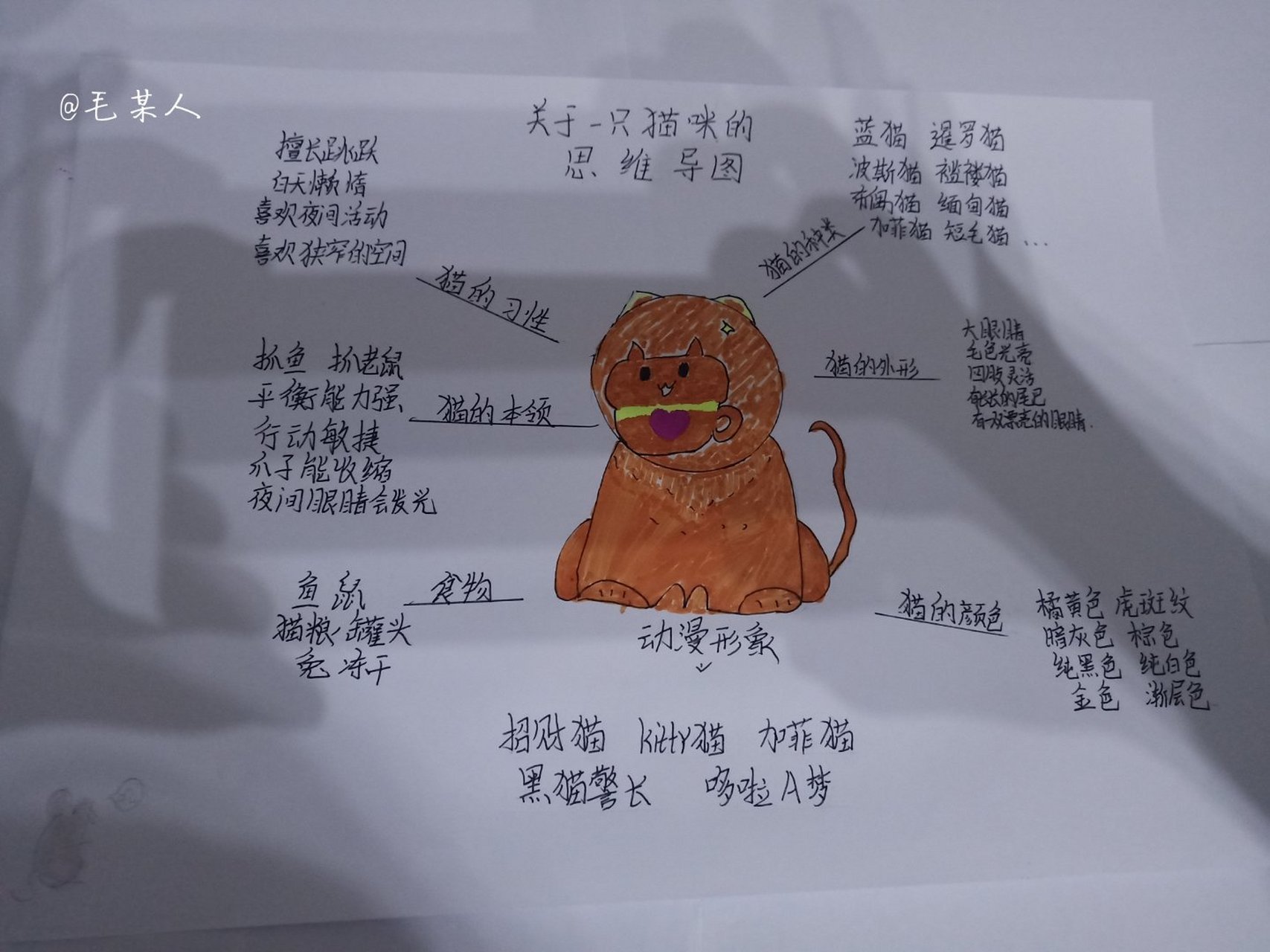 关于猫的思维导图