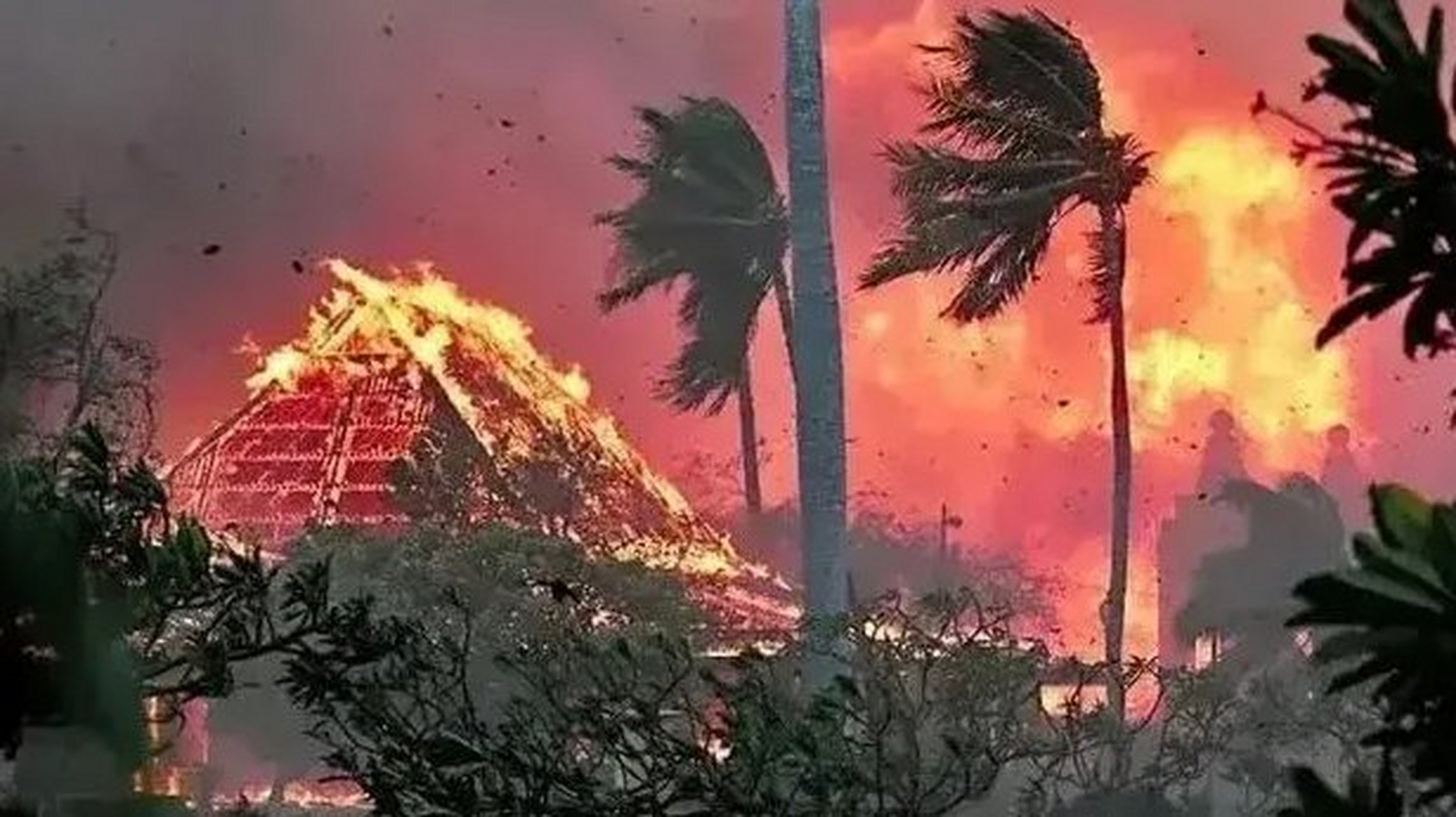 美国夏威夷大火烧了三天三夜,有93人死亡,1100人失踪,在这次大火事件