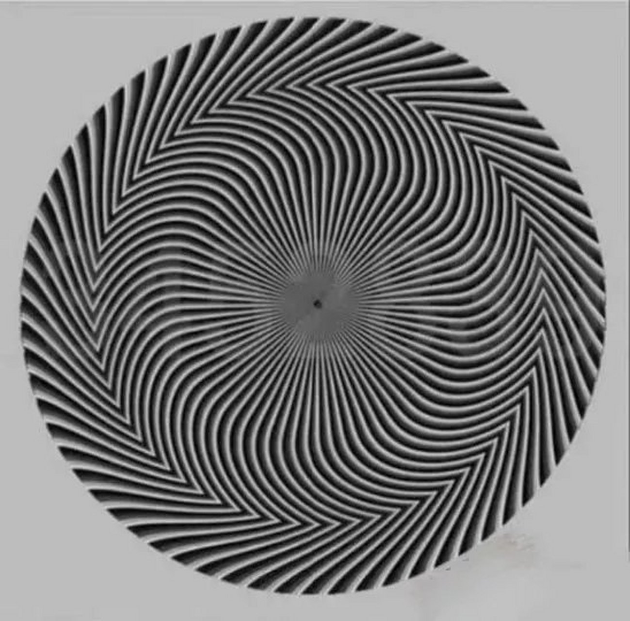 考考大家的观察力和眼力,将你看到的东西写出来,看看谁的眼力好.