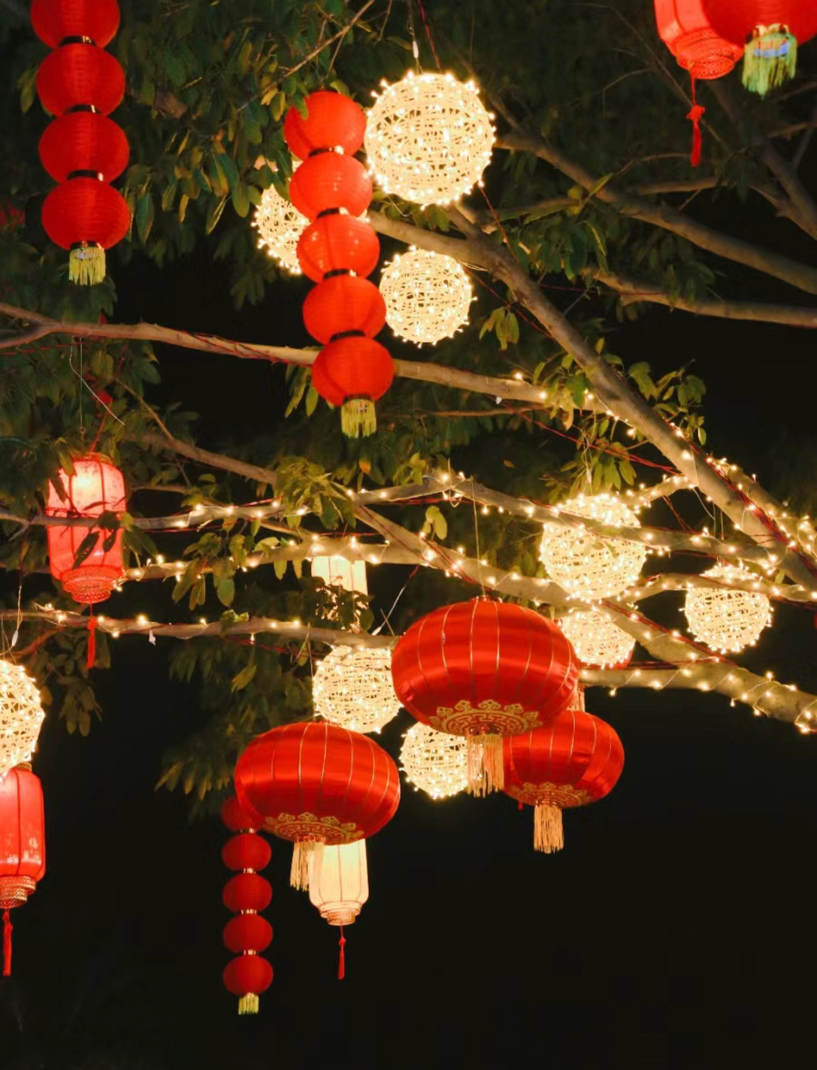 过年好,大家过年啦 繁花盛开,树上挂满了红灯笼和花灯,仿佛走进了古老