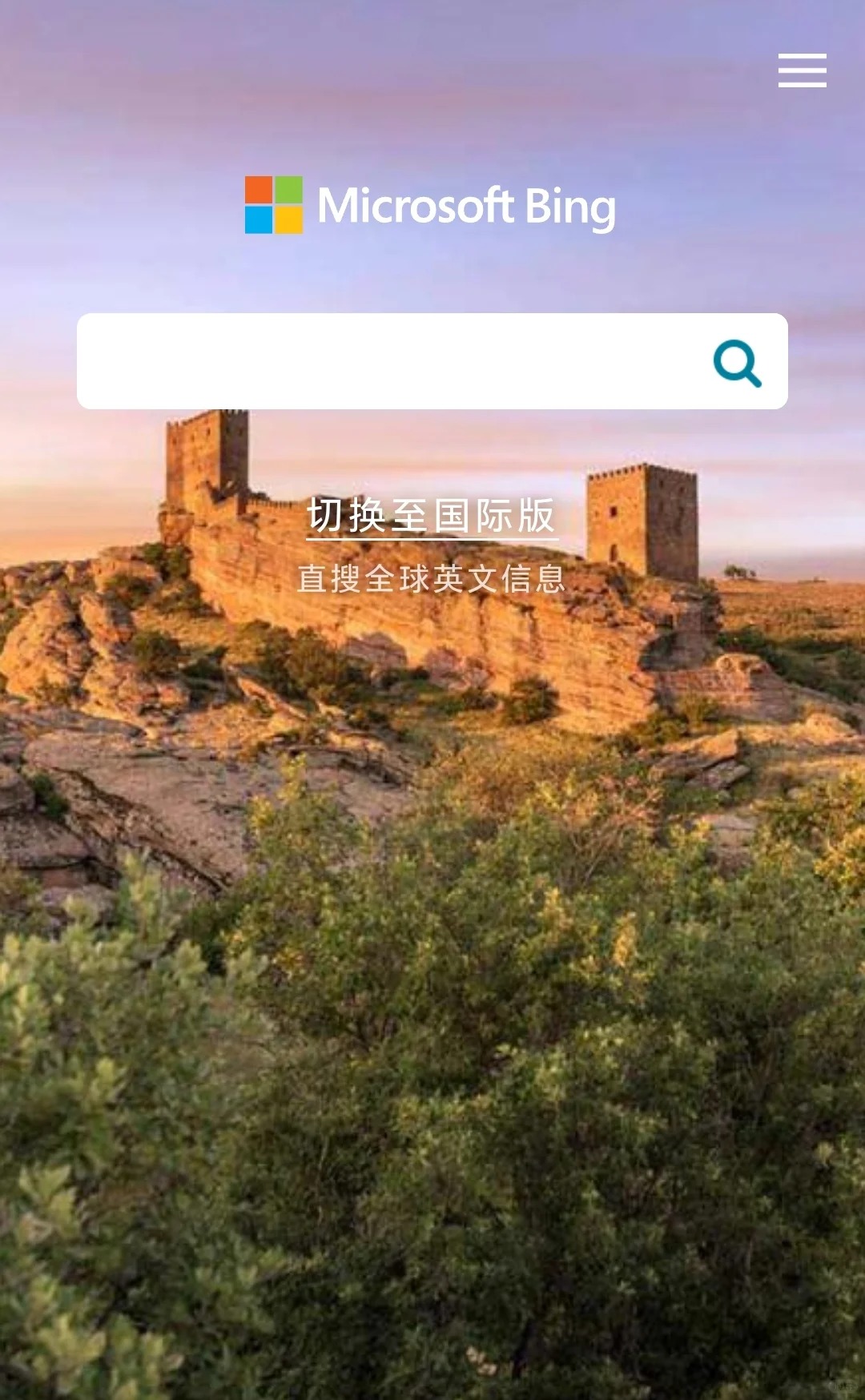 包含必应英文版(bing)的词条
