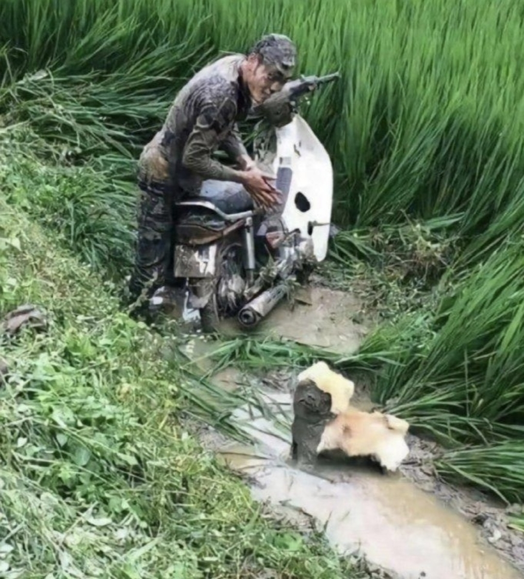 看一次笑一次,夫妻俩带着小狗狗骑着电动车,在回家的路上,不知道咋