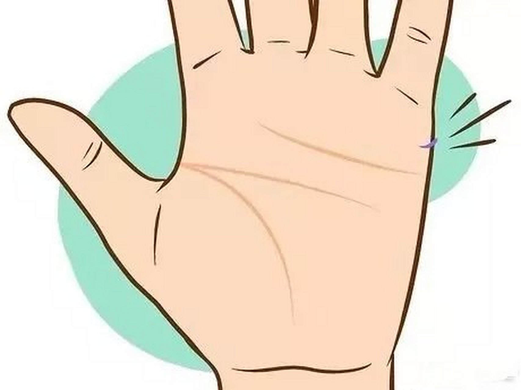 直觉线可能向里弯,也可能向外弯