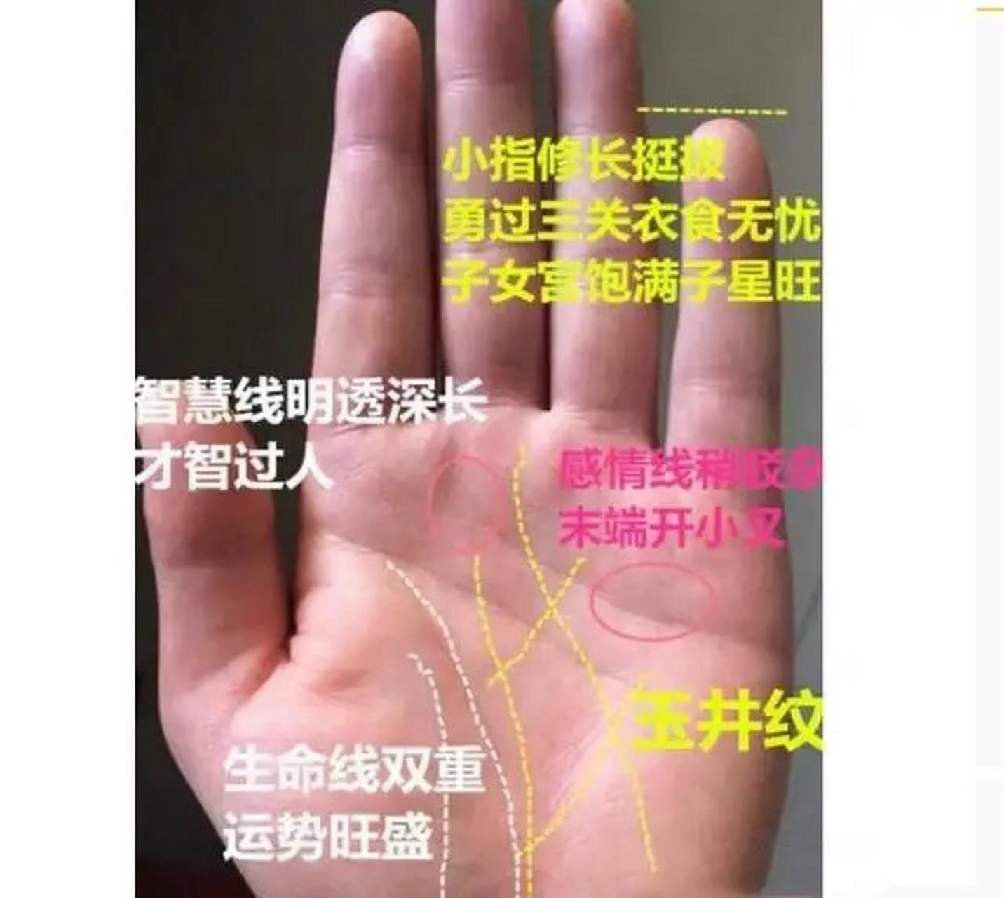 通常手相玉井纹之人,事业运势很强,步步高升,绝非池中物,一飞冲天指日