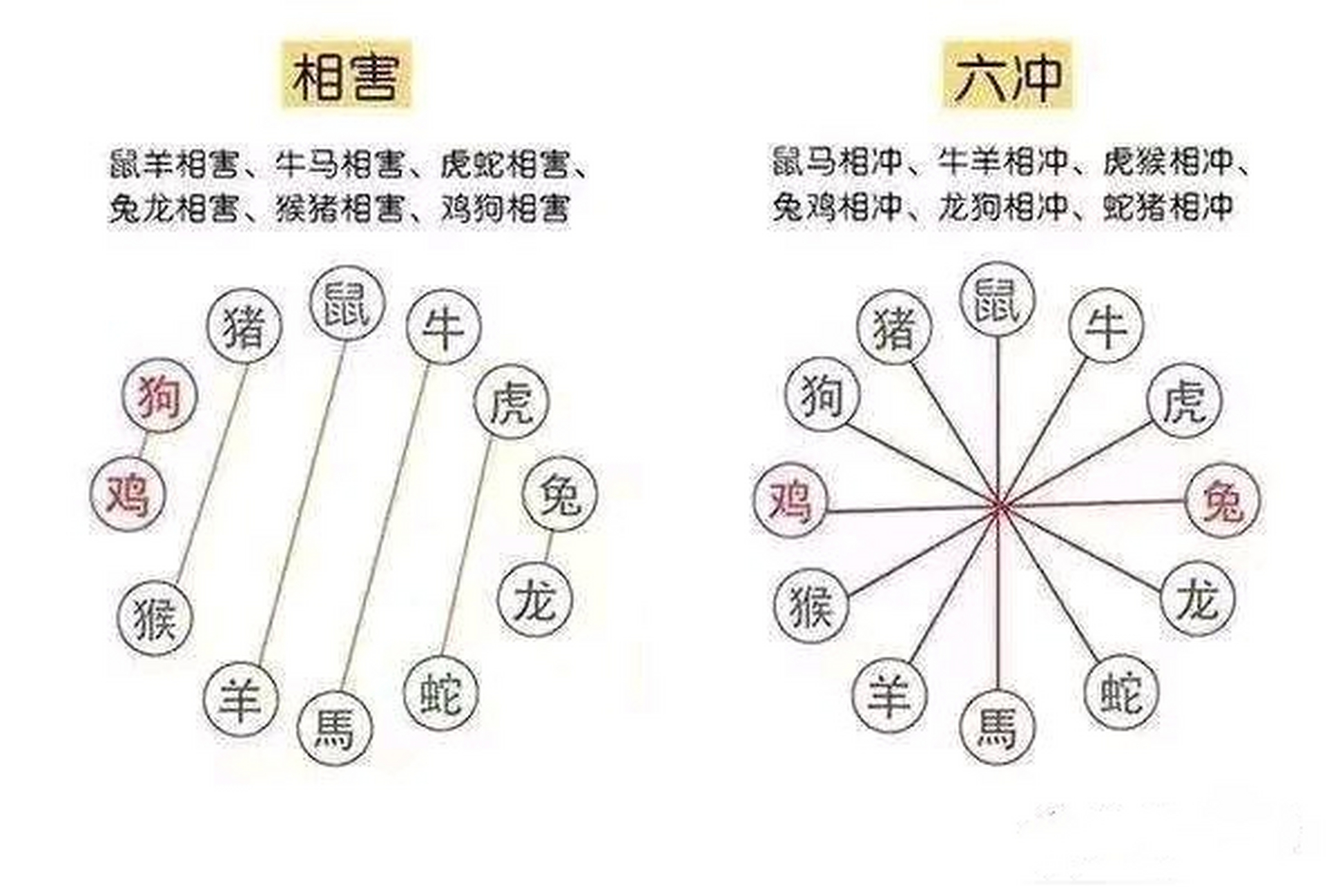 相冲的属相  十二生肖中,相冲分六冲,指六对属相之间的五行冲克