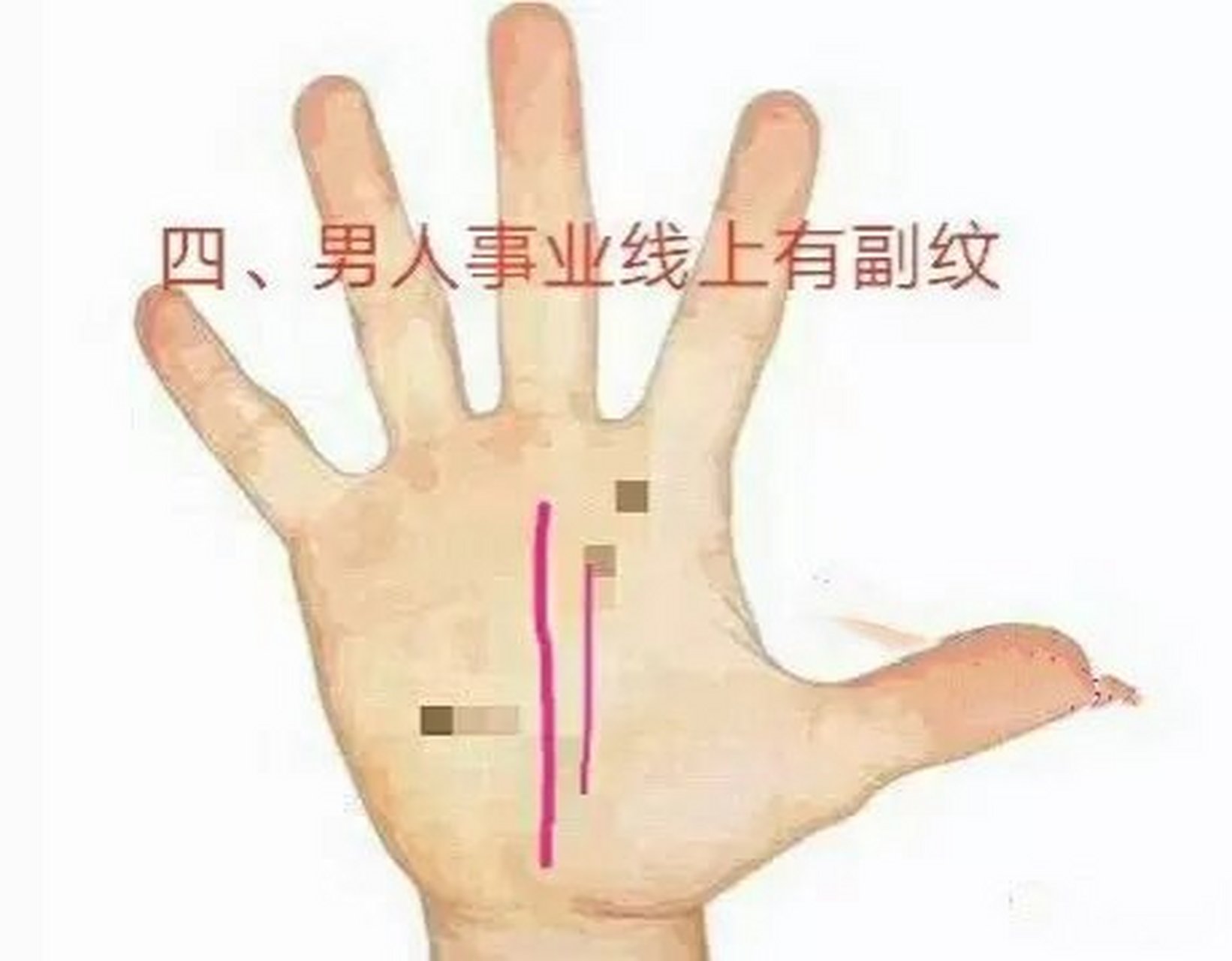 事业线上有副纹  男人手上的事业线上有一条副纹,表明此人运势强劲