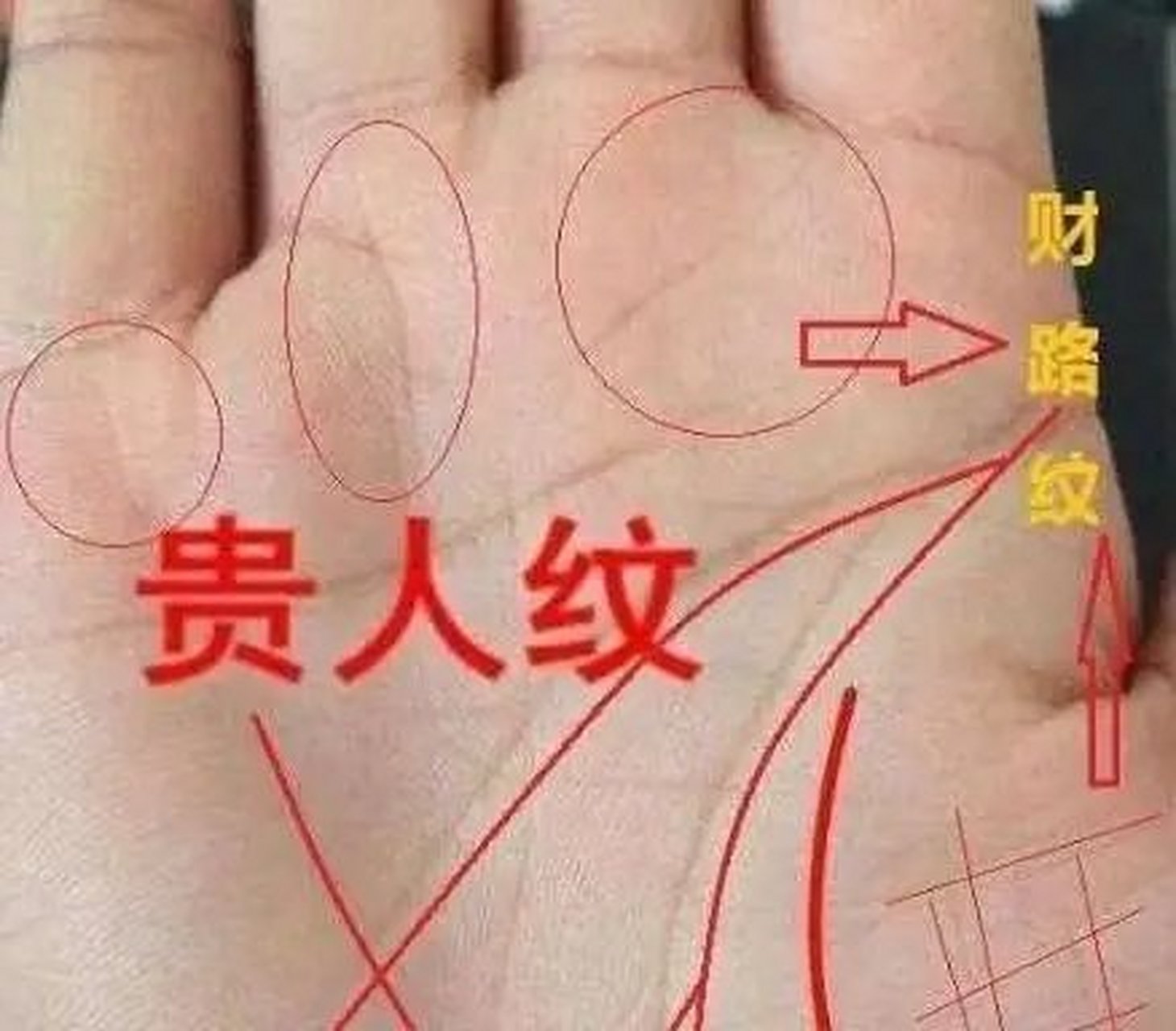 通常手相元宝纹分为有大元宝,小元宝,这些都是聚富的象征,一生衣食