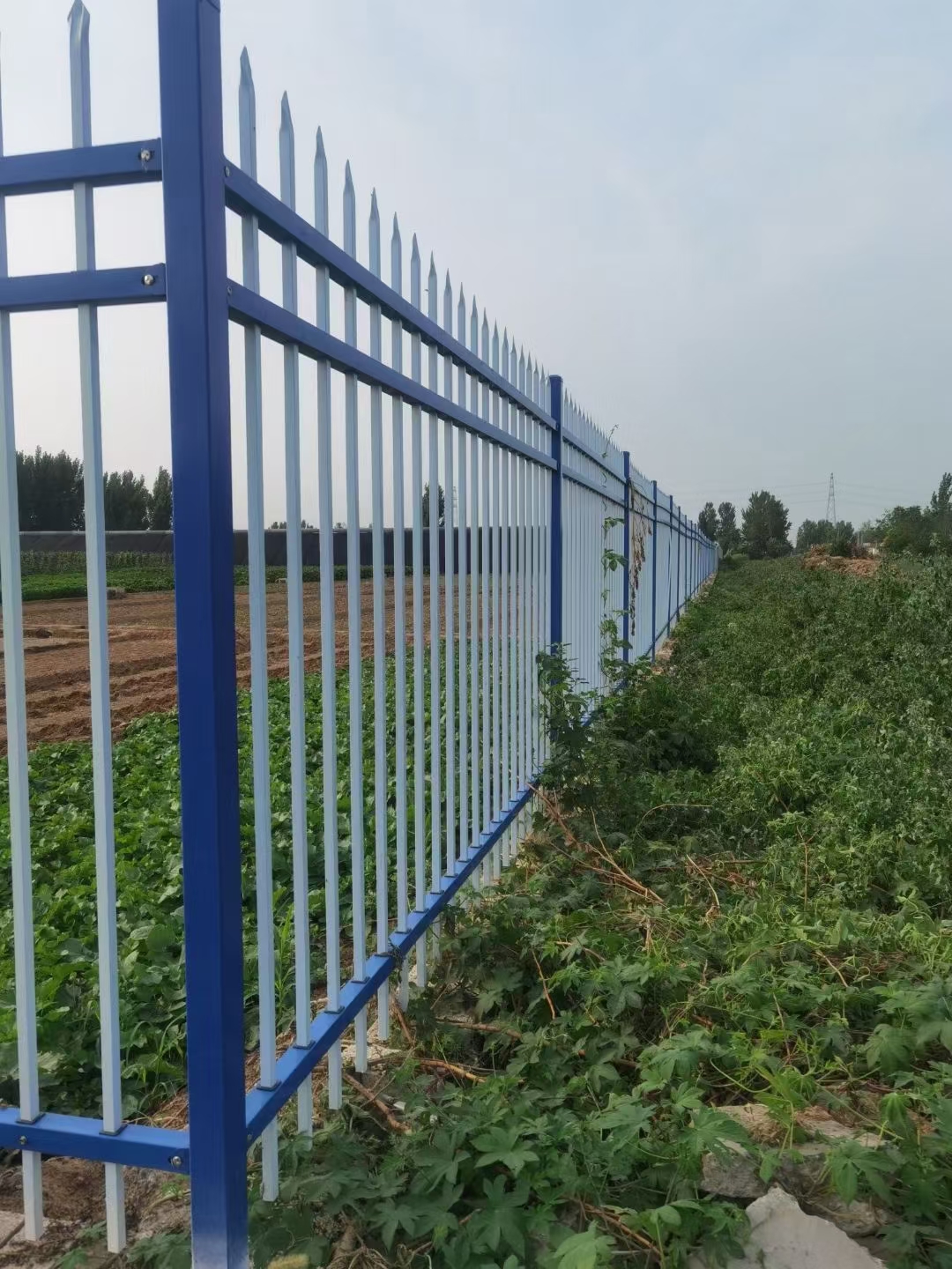 铁艺围栏,守护城市的宁静角落.