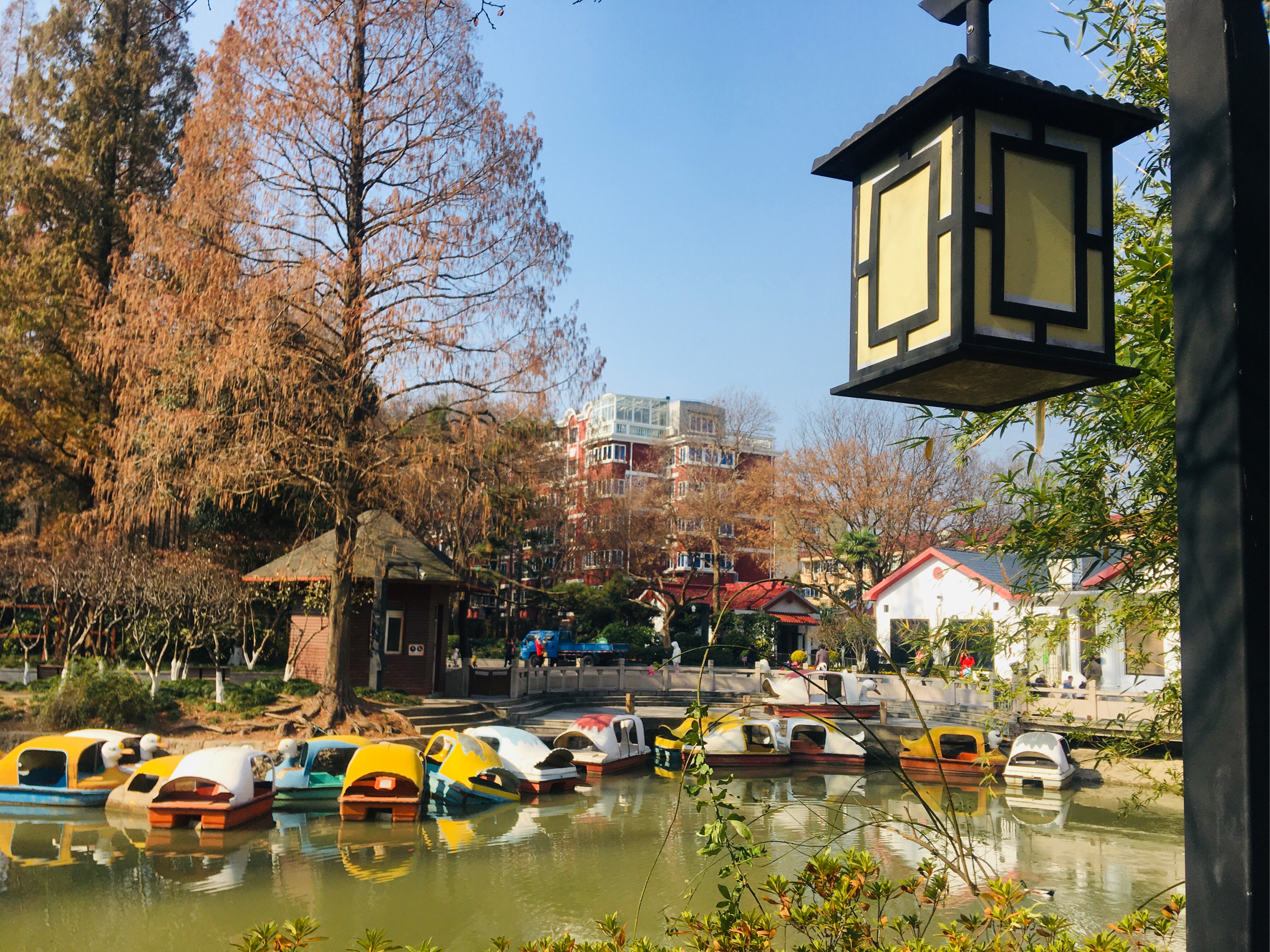 闵行一日游免费景点图片