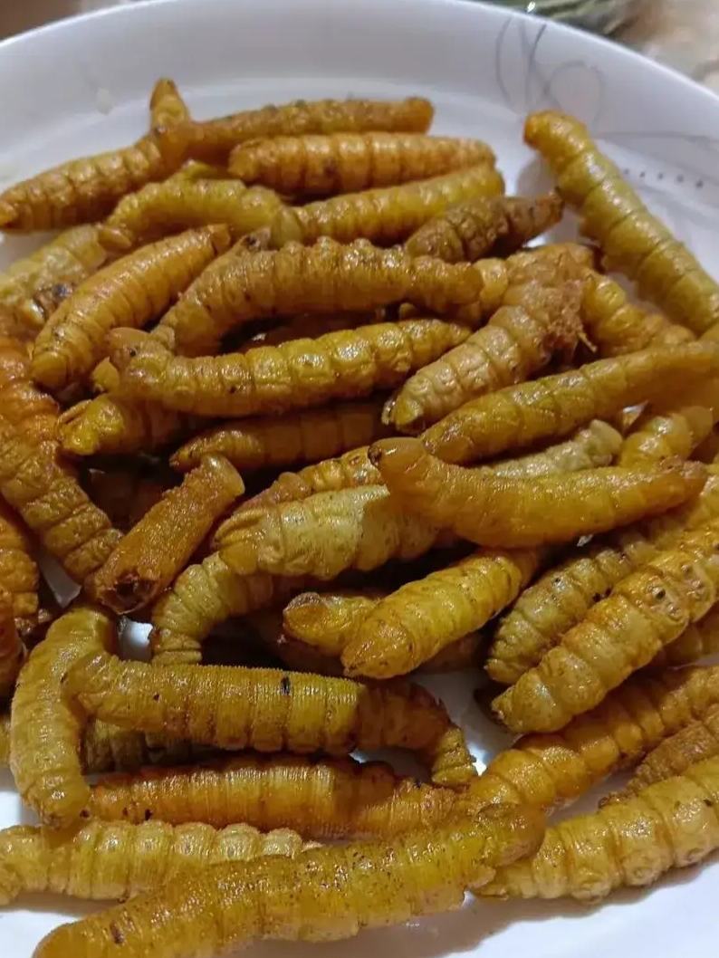 一看到那绿了吧唧的大长虫,我浑身的鸡皮疙瘩都起立开大会了,心里