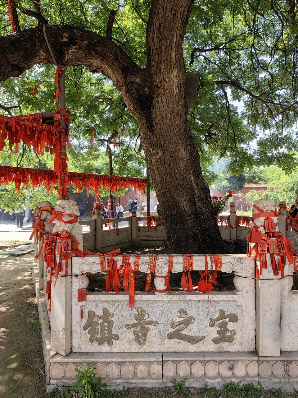 民权白云寺图片