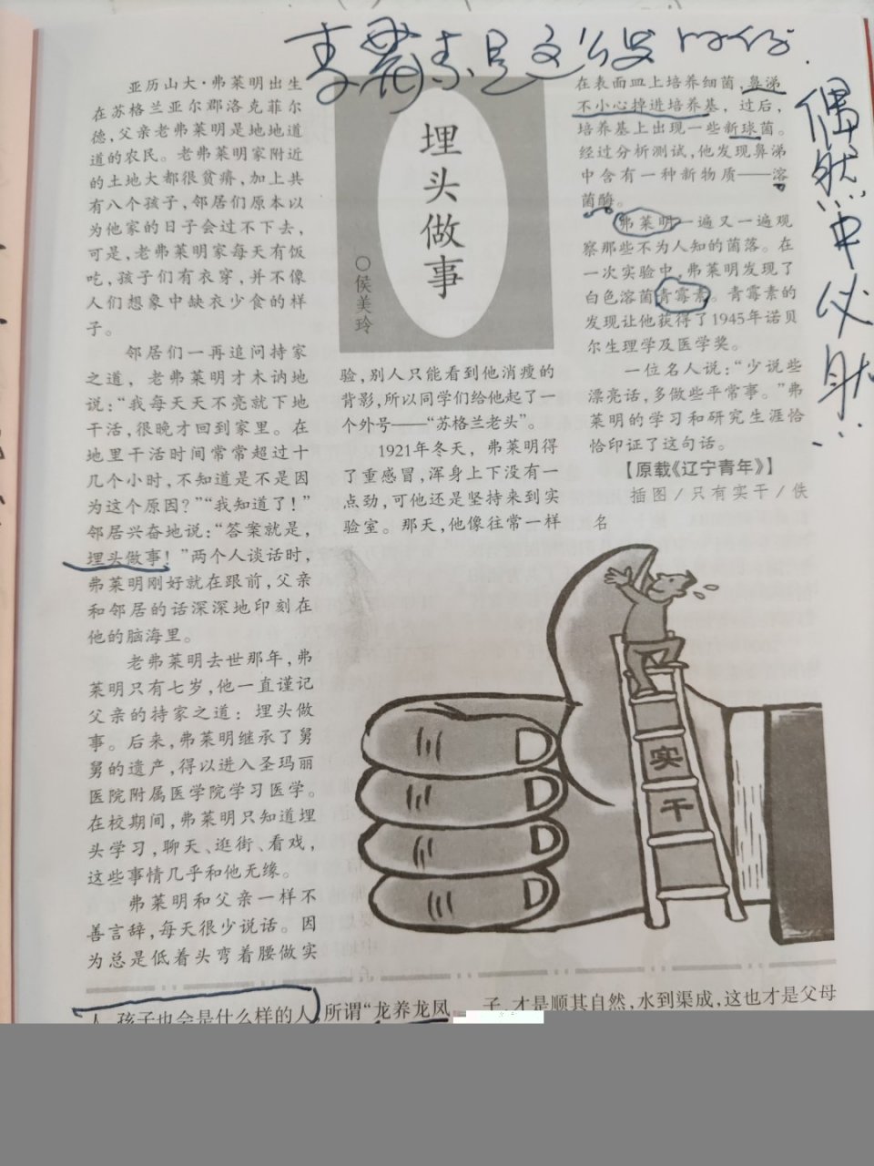 原来青霉素是这么发明的.