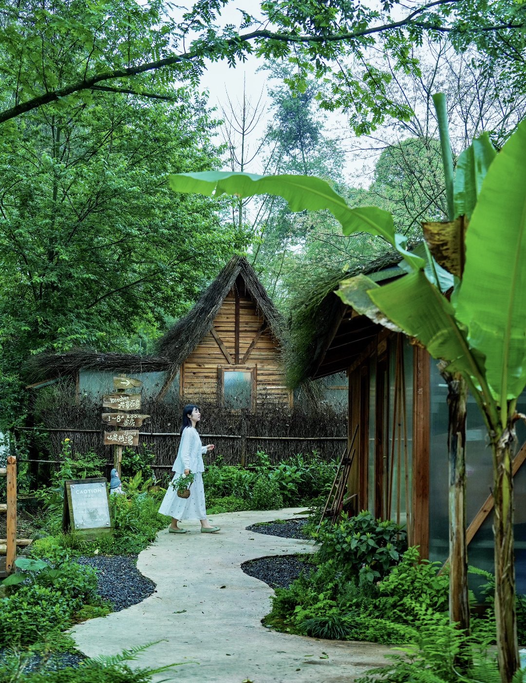 这几位名字一摆出来,谁不心动啊?