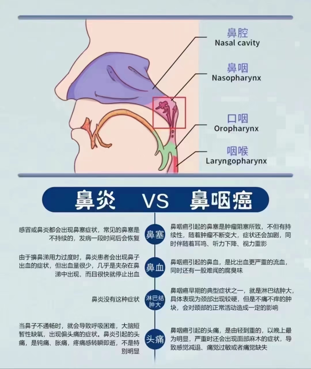 图中详解鼻腔结构和鼻炎与鼻 @健康人生zyz的动态