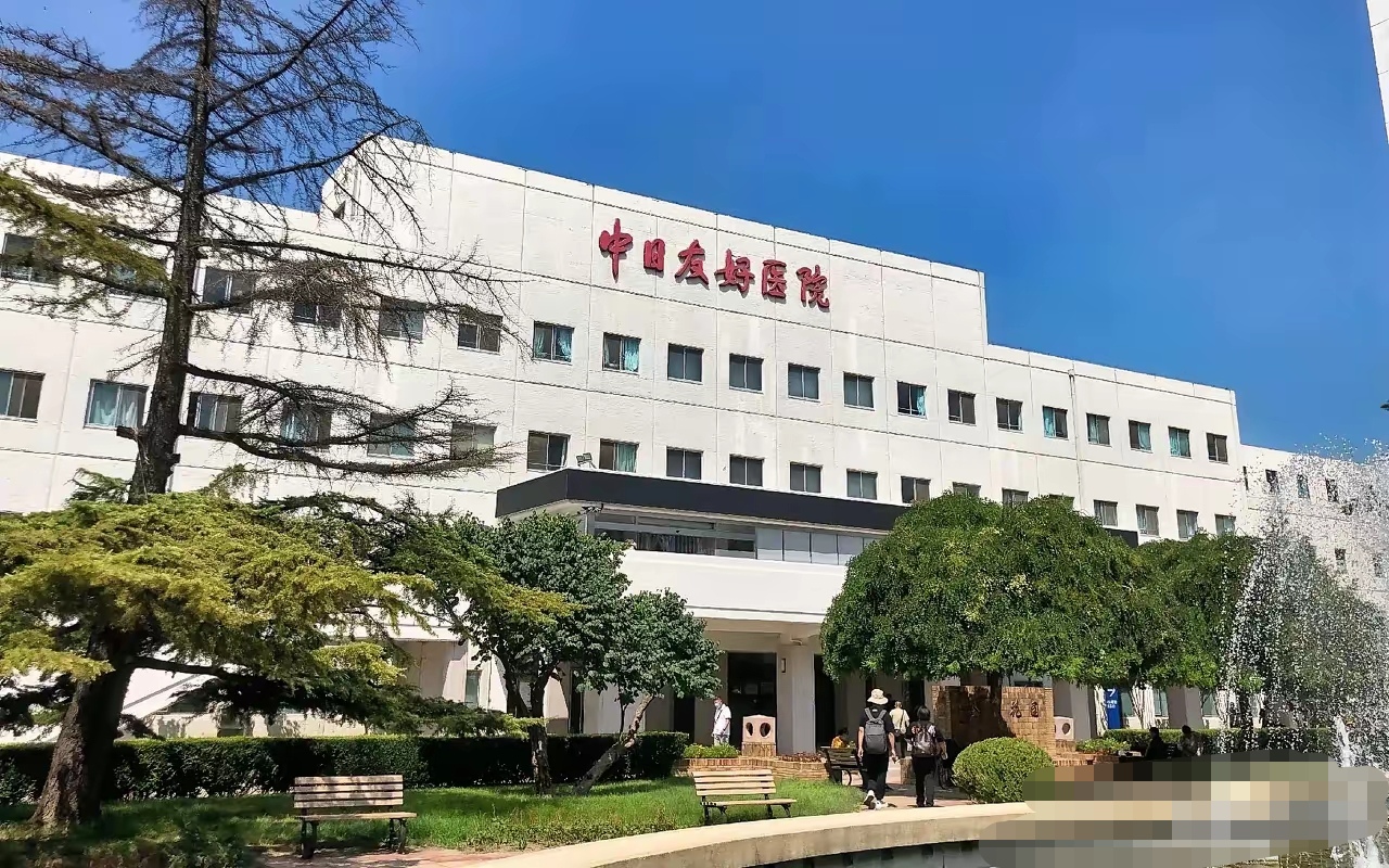 中日友好医院老年人看病代挂号就医资料完整整理，避免遗漏丢失的简单介绍