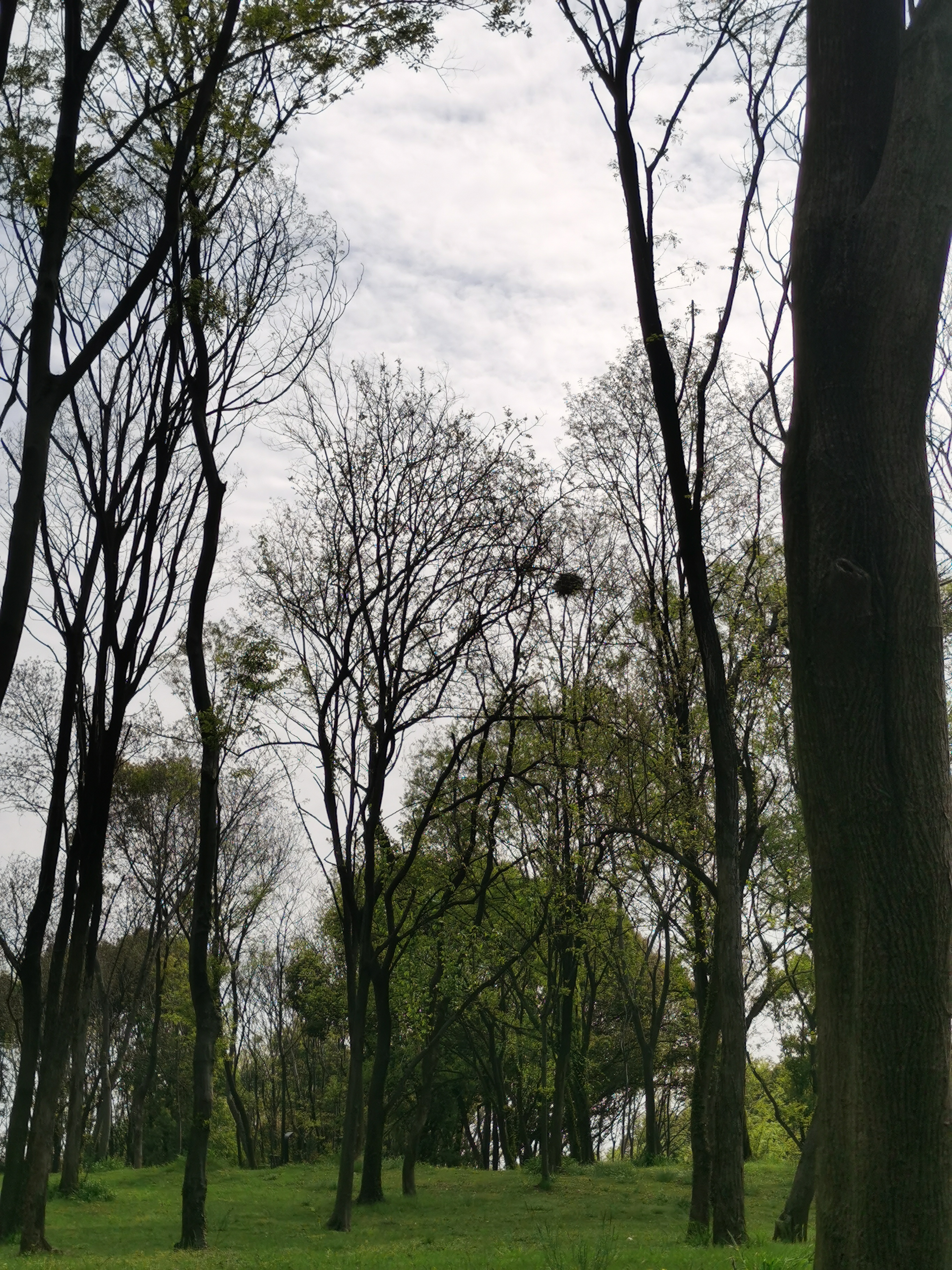 走路十分钟,有一个美丽的人工湖