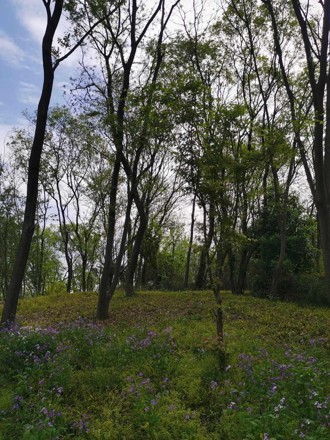 走路十分钟,有一个美丽的人工湖