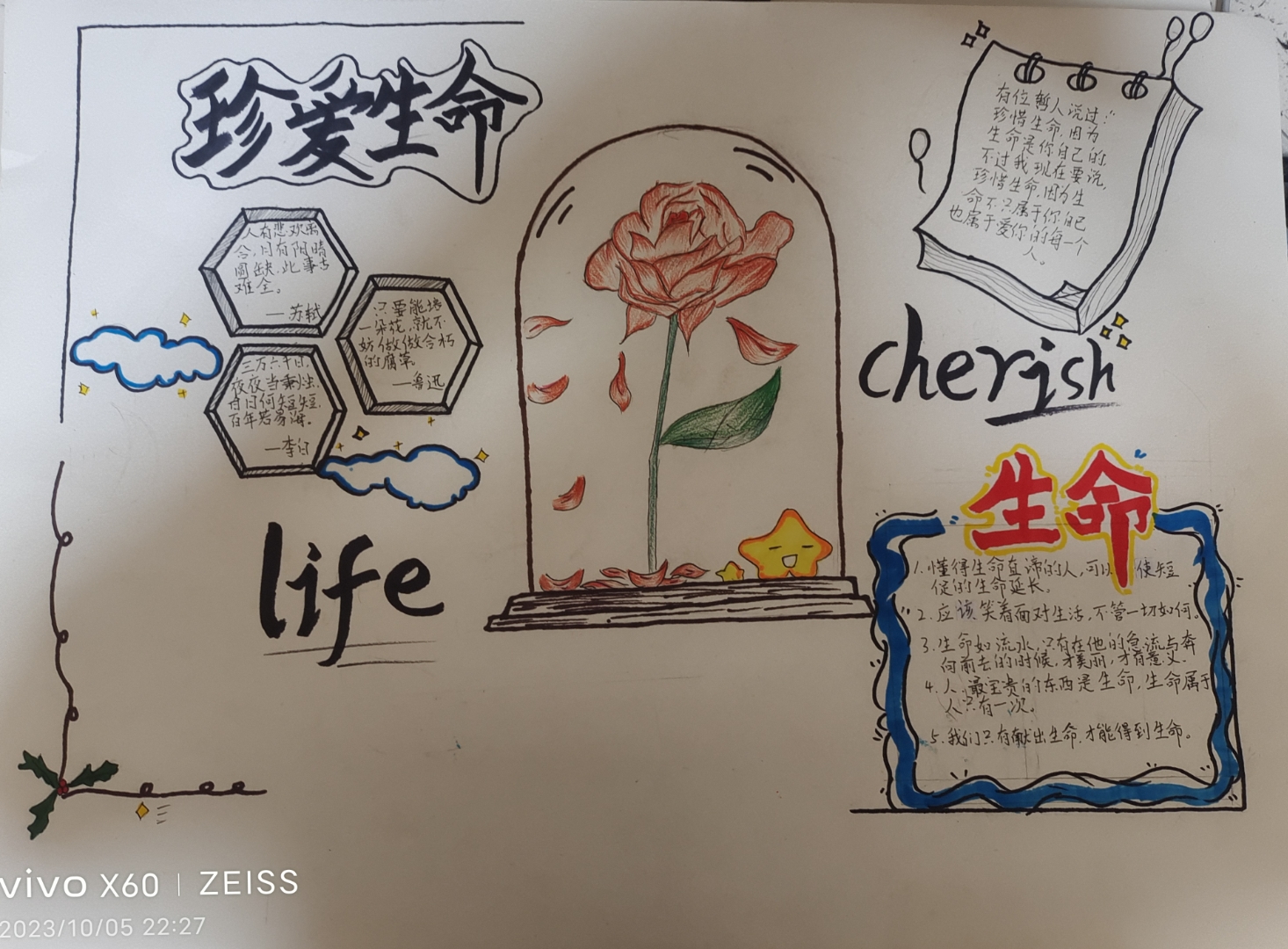 七年级珍爱生命手抄报