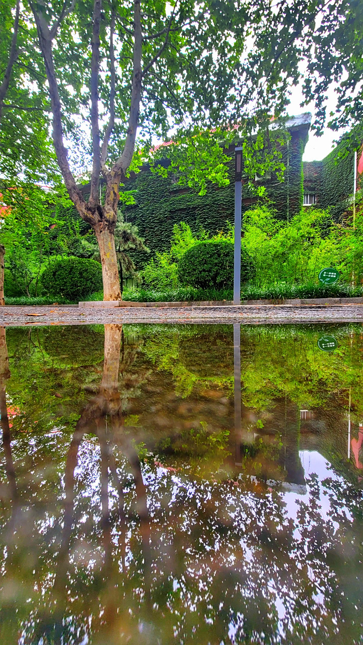 雨后※校园